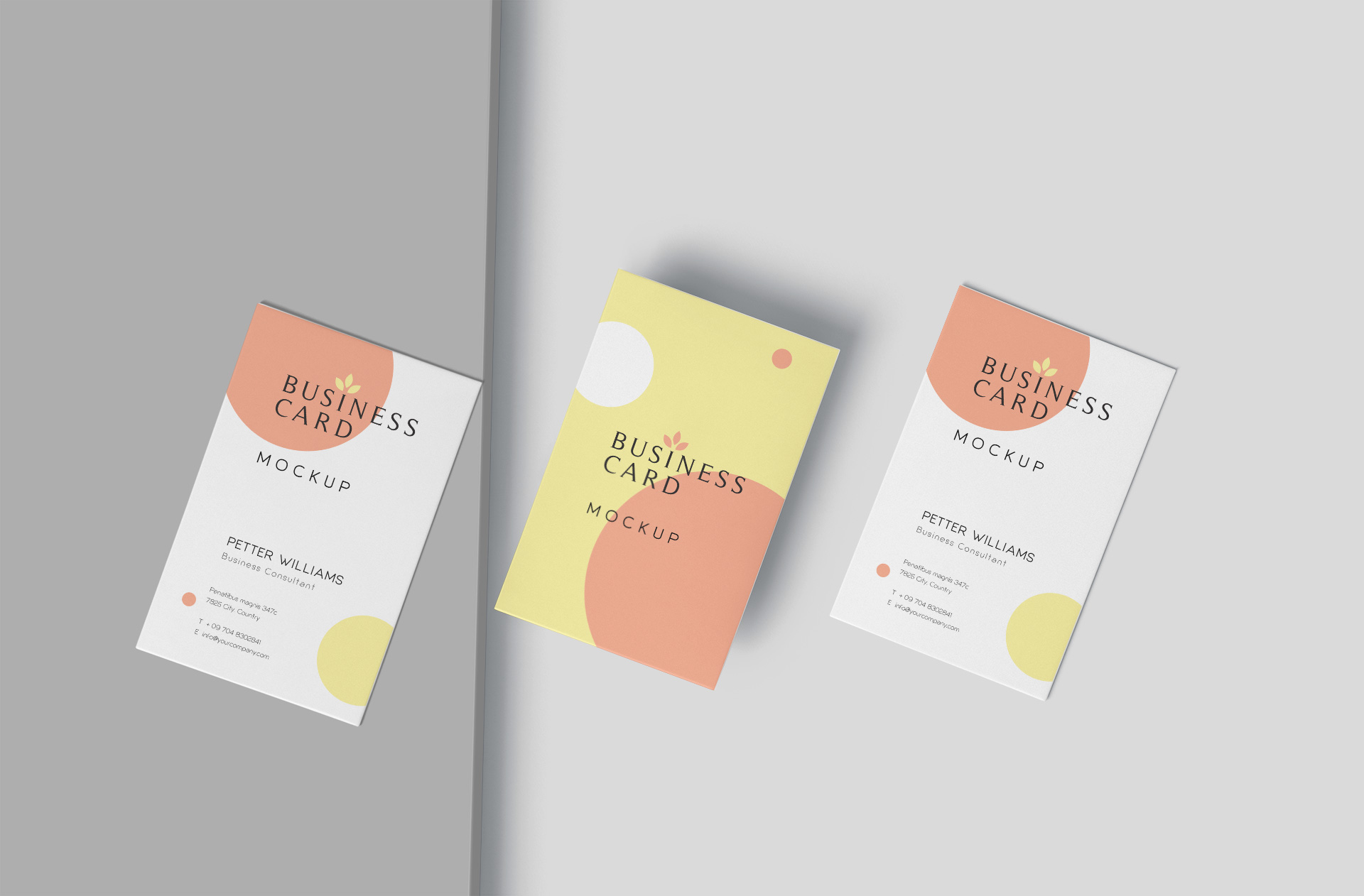 Minimalist Business Card Mockup PSD