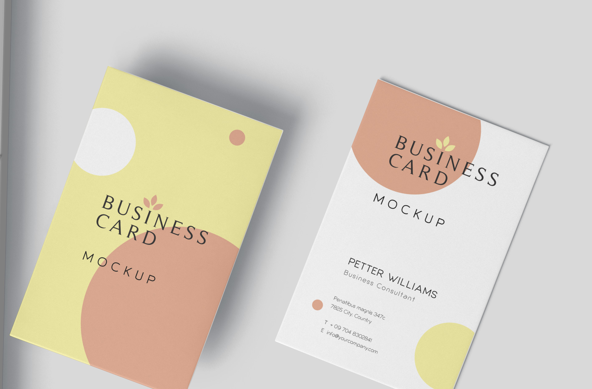 business card mock-up