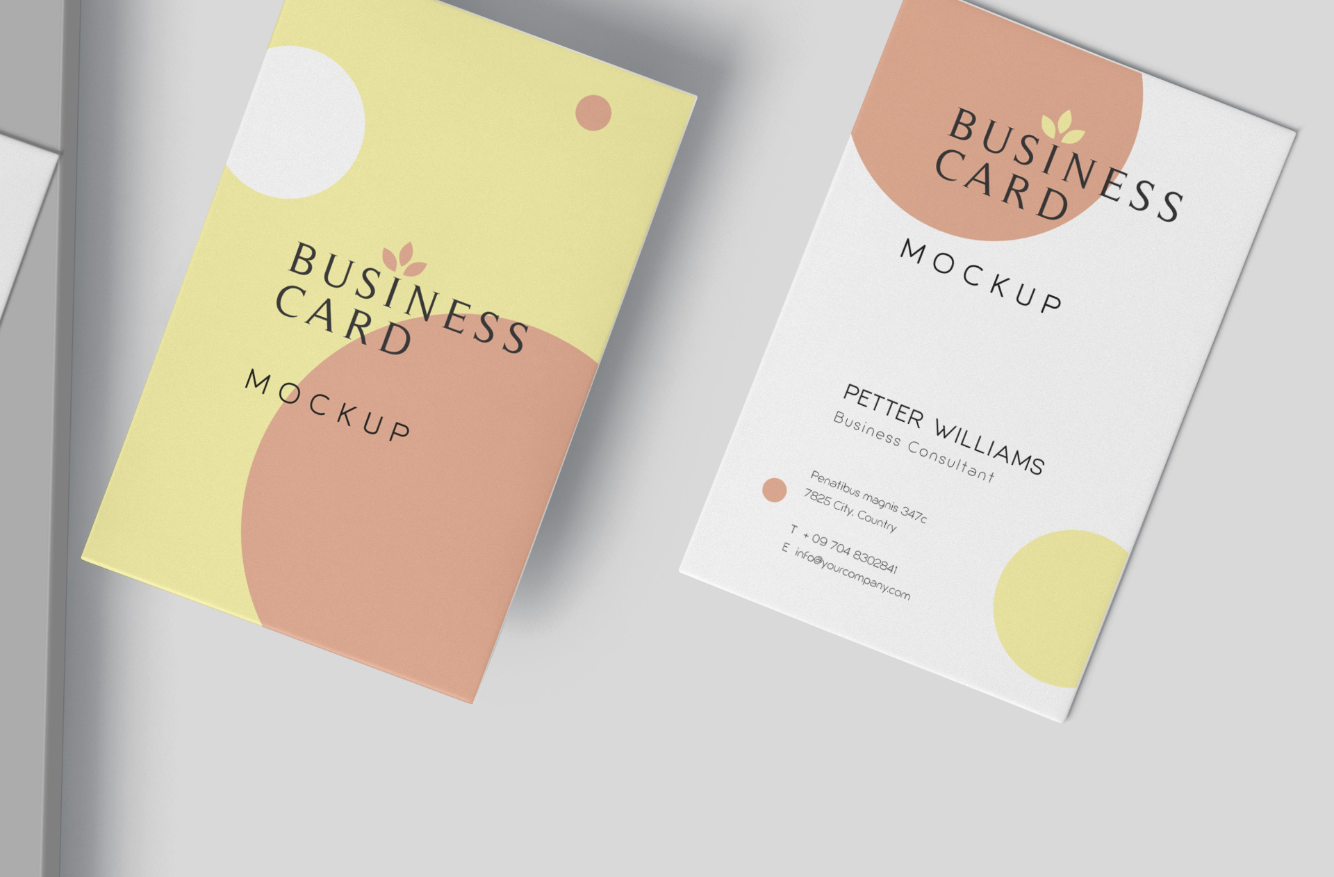 business card mock-up