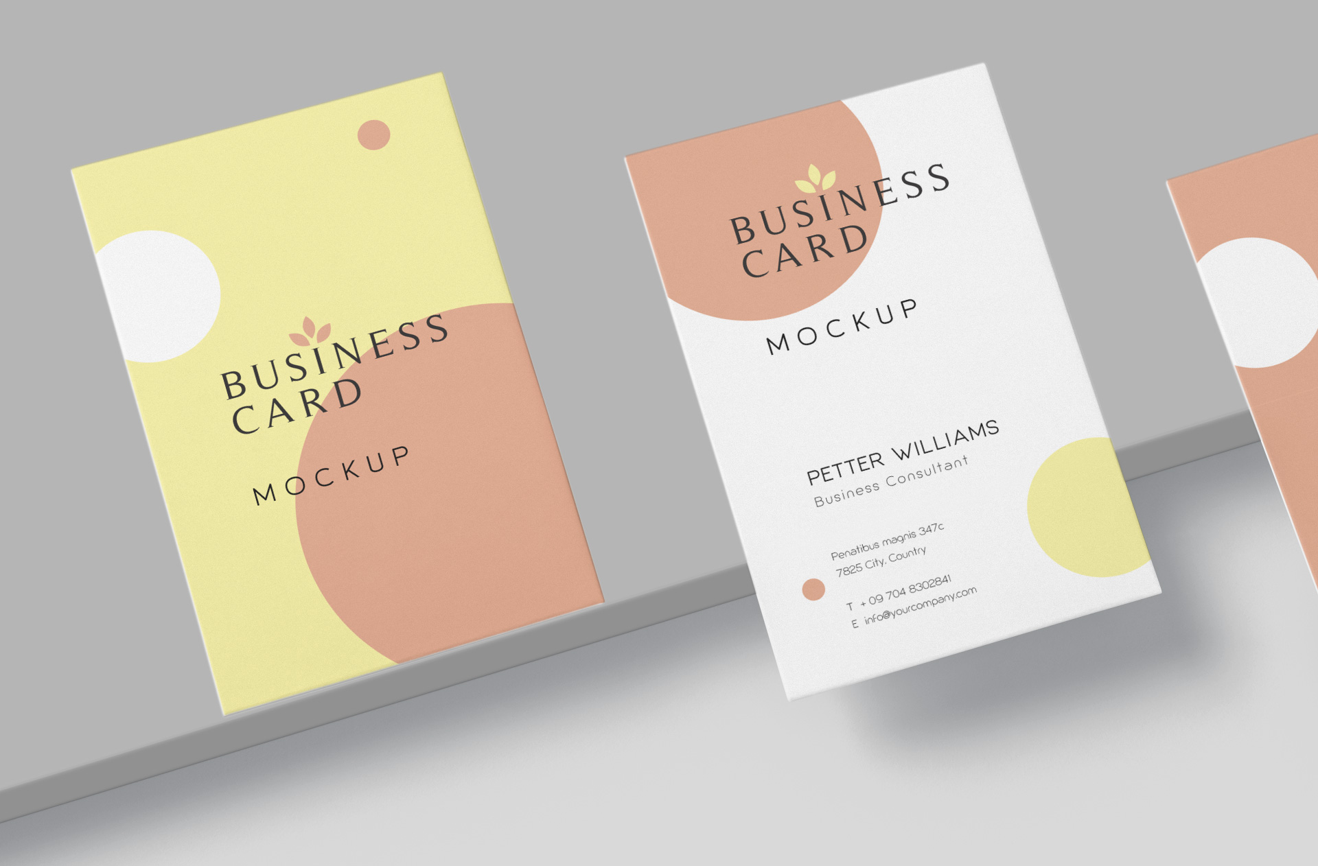branding card mockup