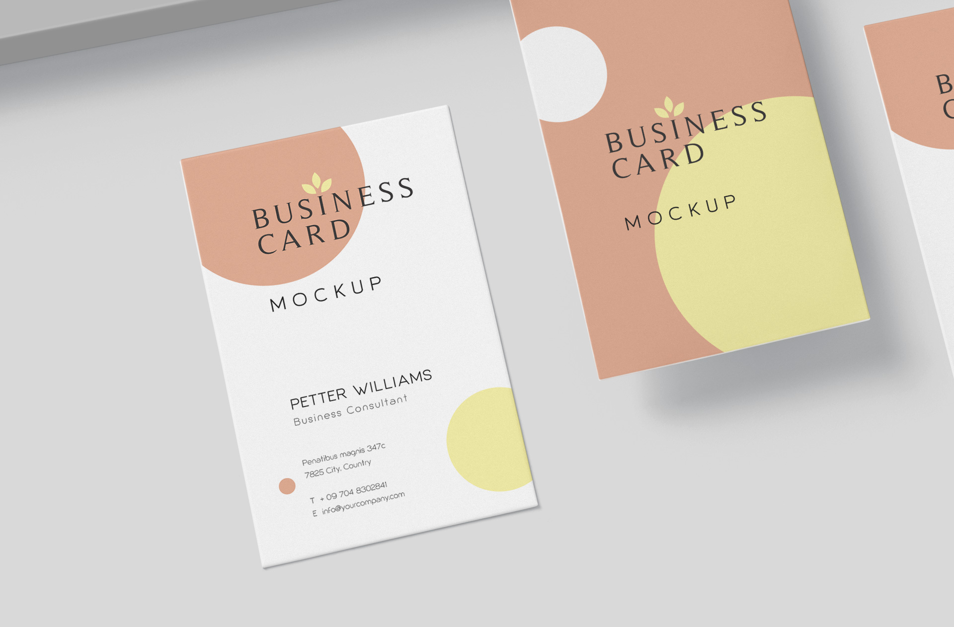 business card mock-up