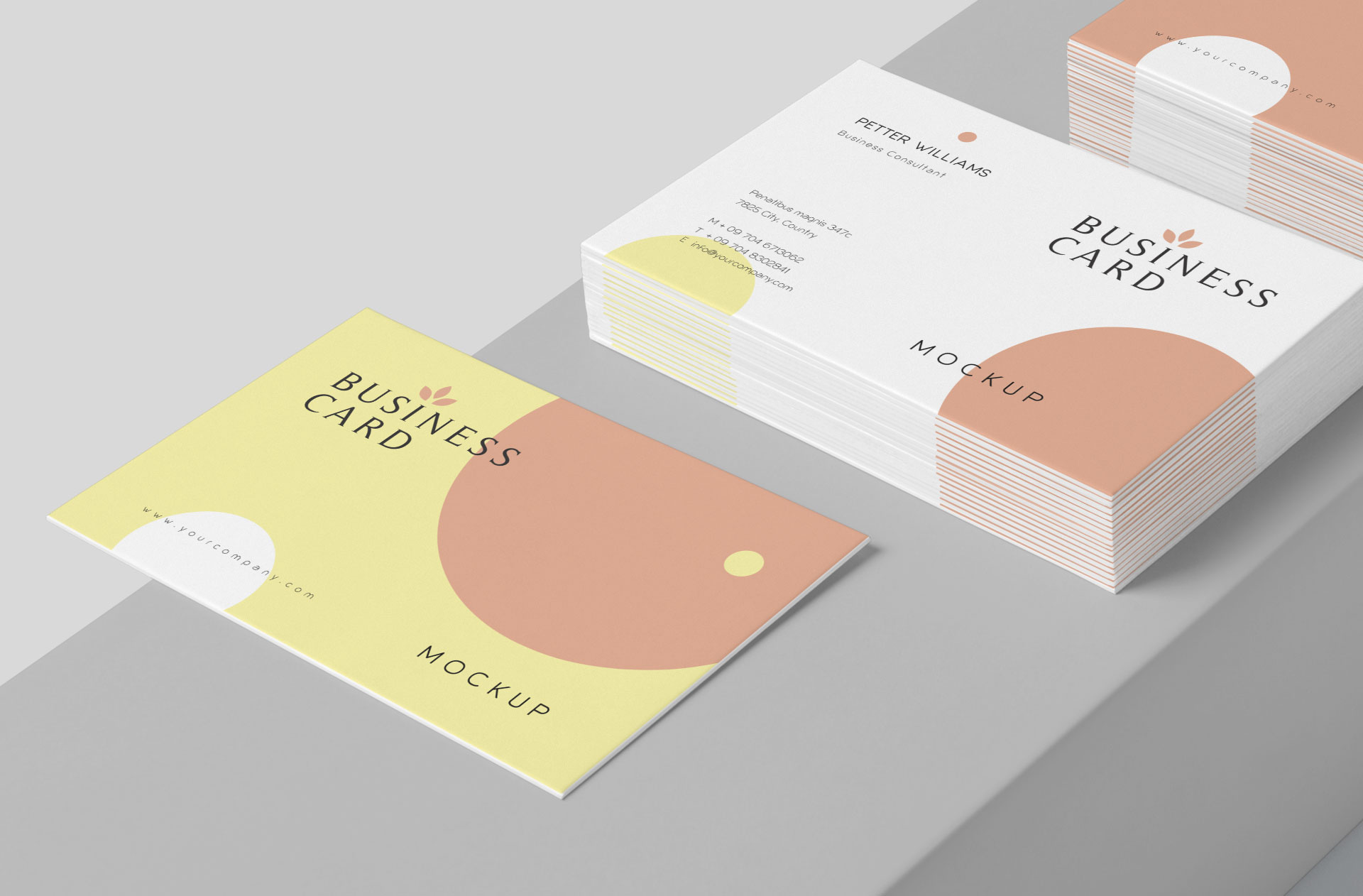 business card mock-up