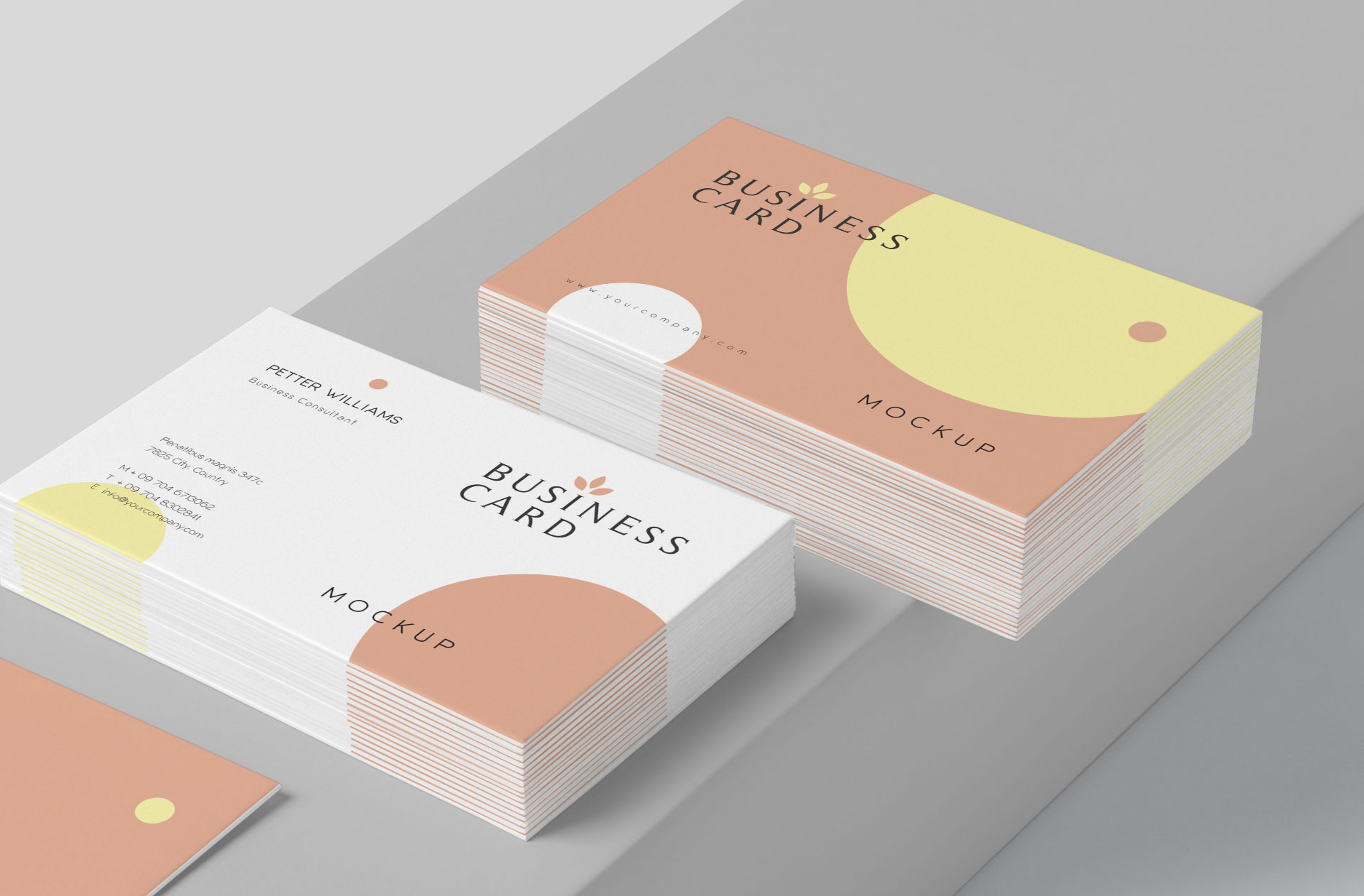 business card mock-up