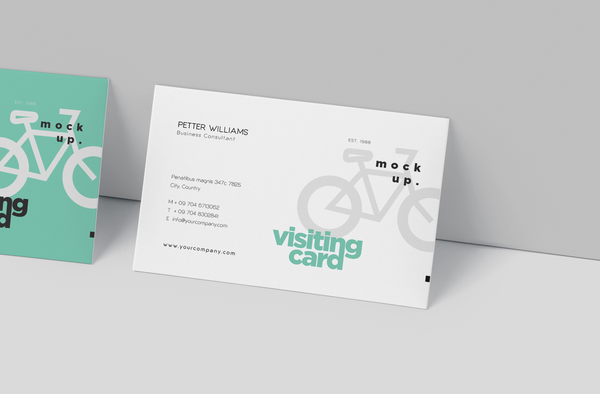 elegant name card mockup