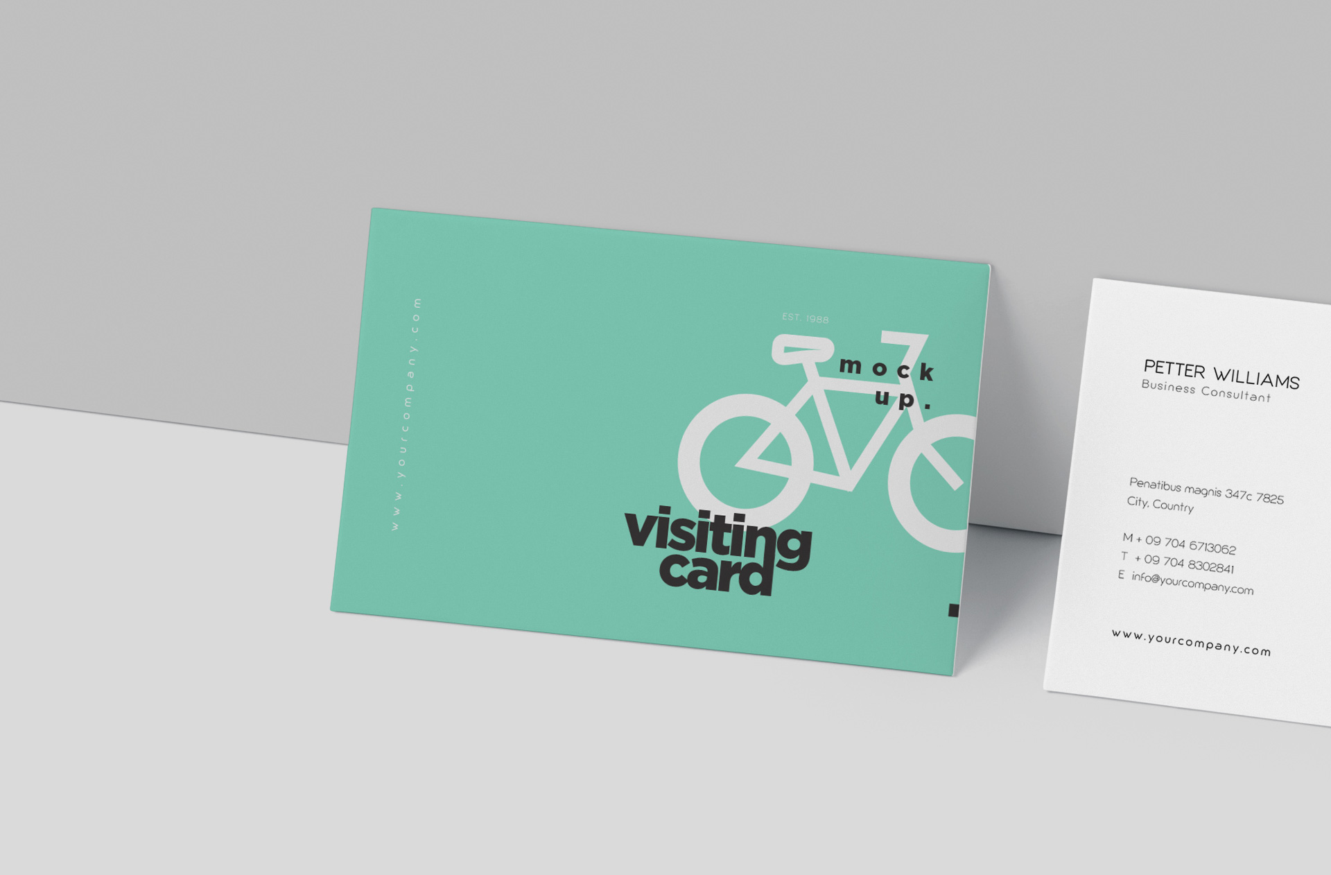 elegant name card mockup