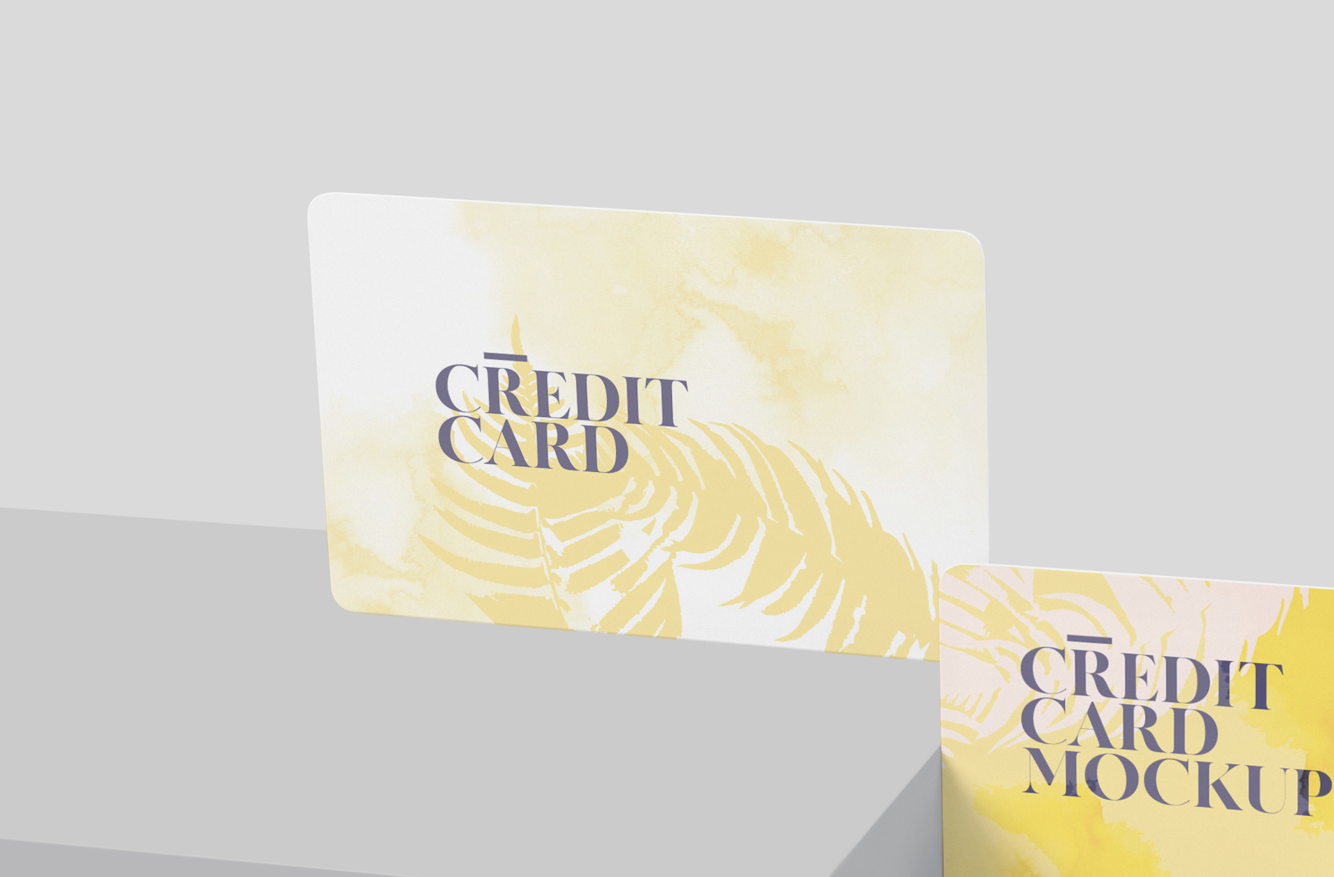 credit card mock-up