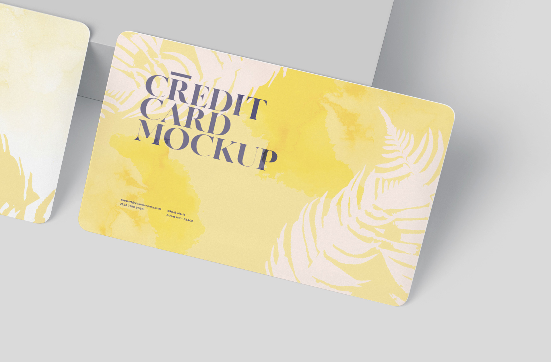 credit card mock-up