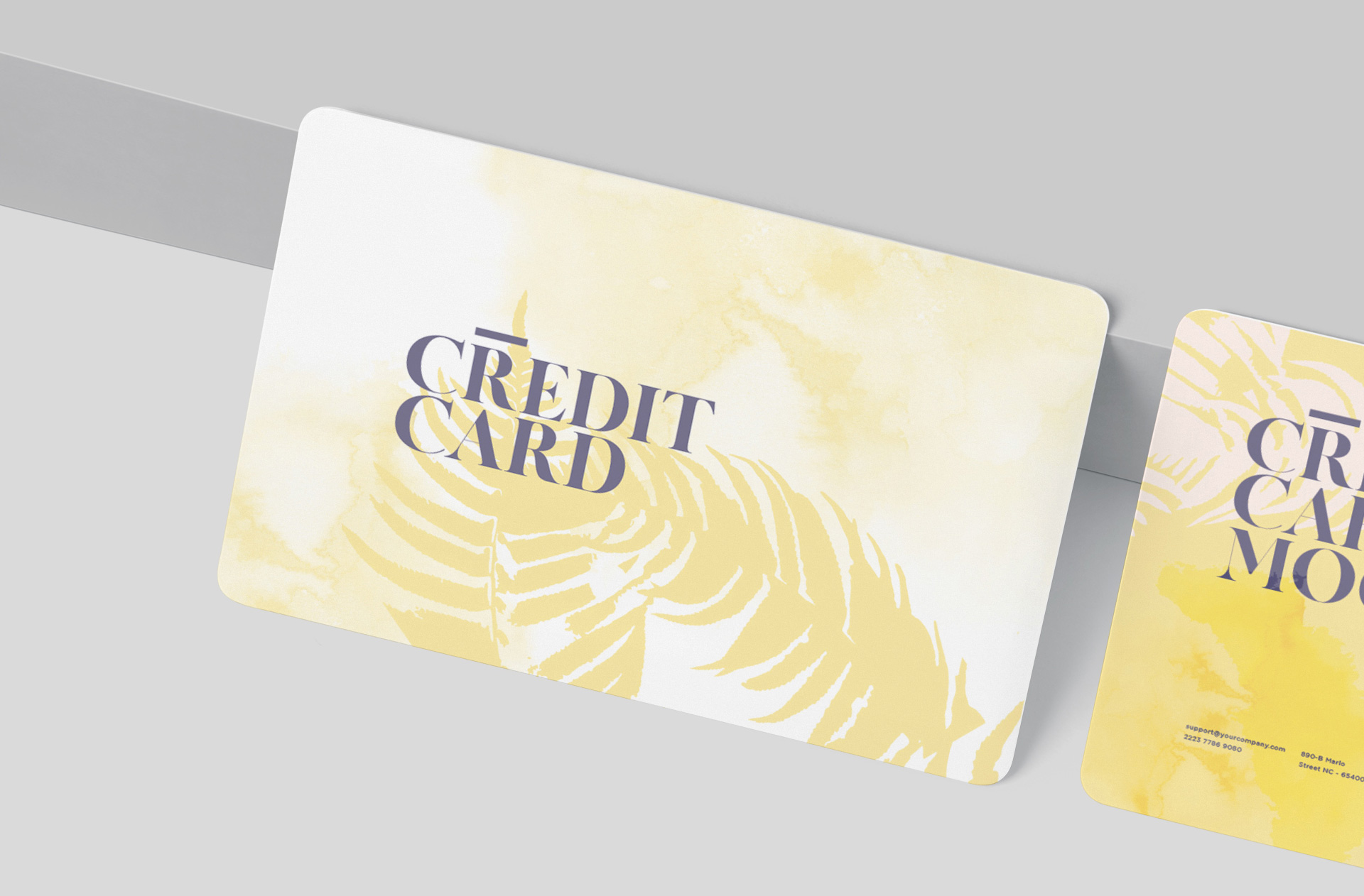 credit card mock-up