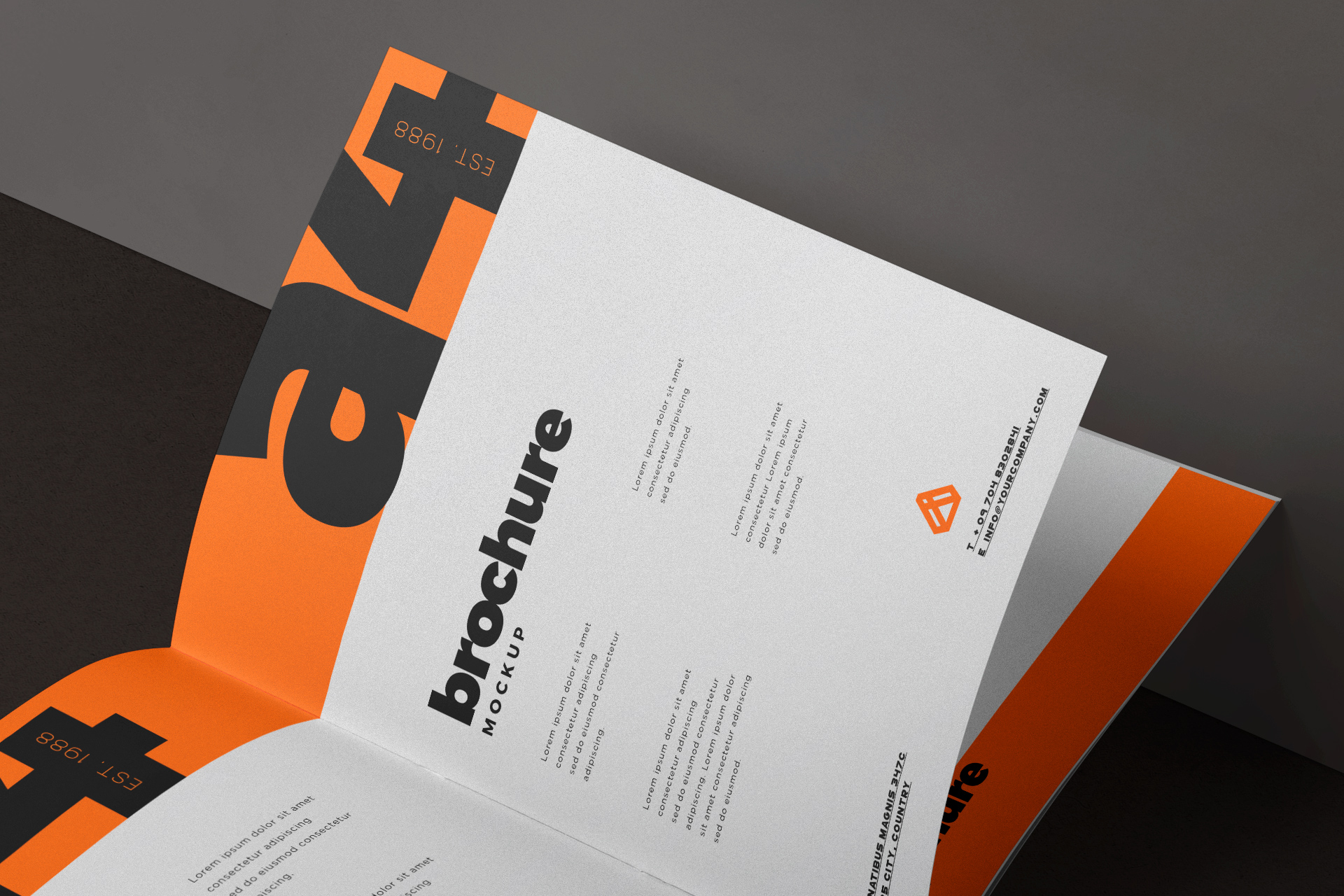 bi-fold brochure mockup