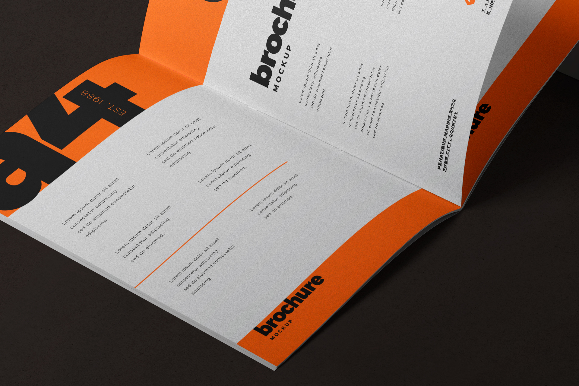 bi-fold brochure mockup