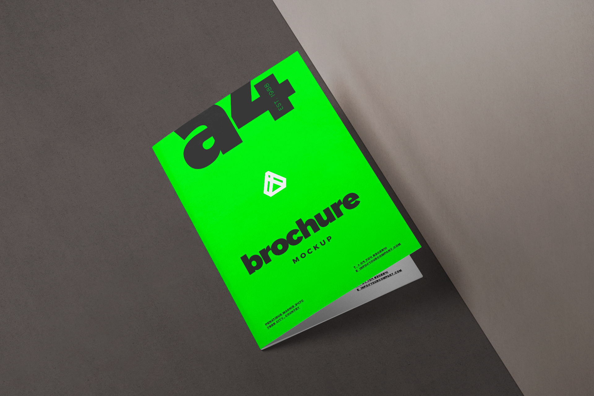 Colorful A4 Brochure Mockup High-Quality PSD