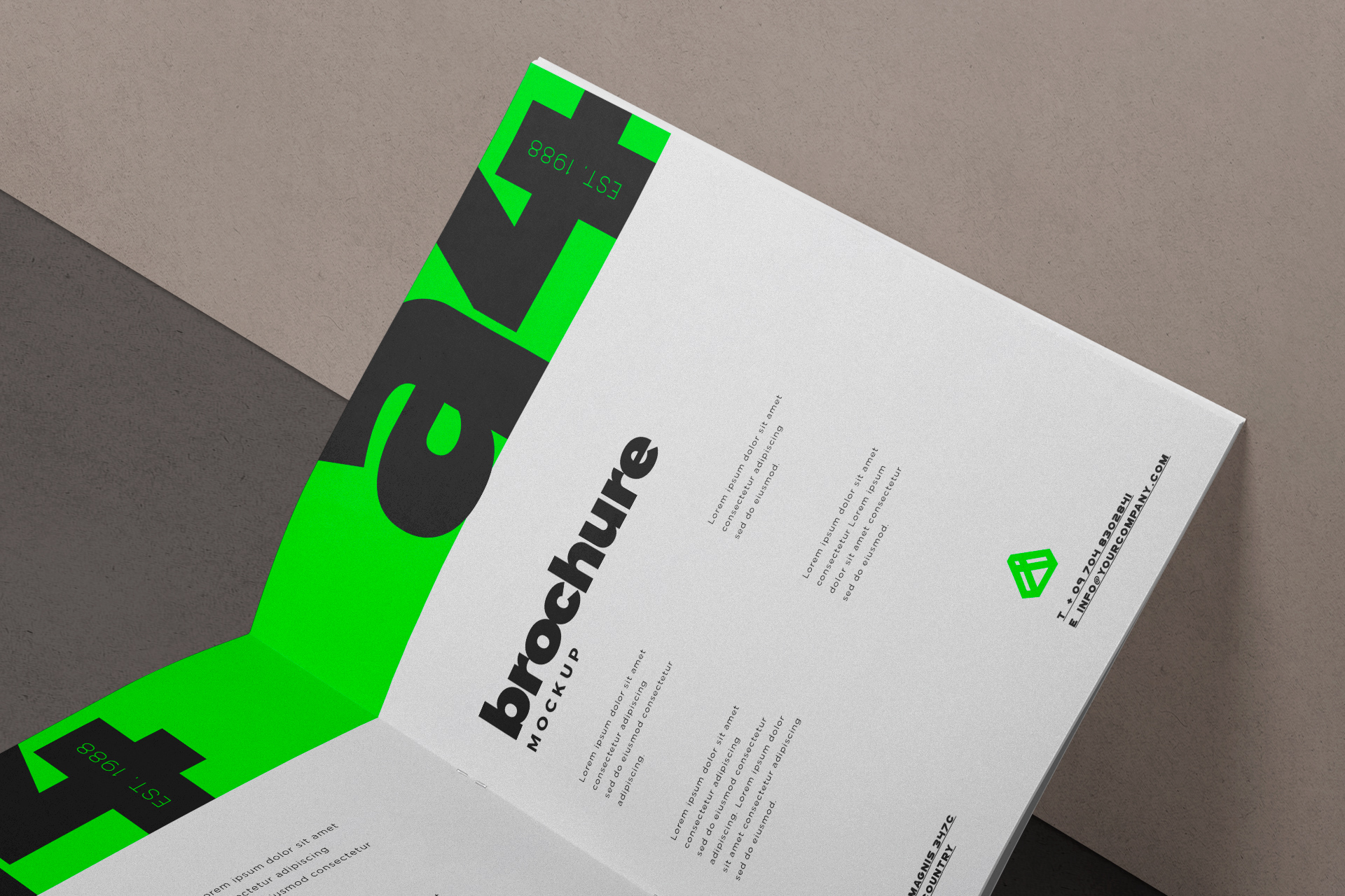 A4 bi-fold mockup