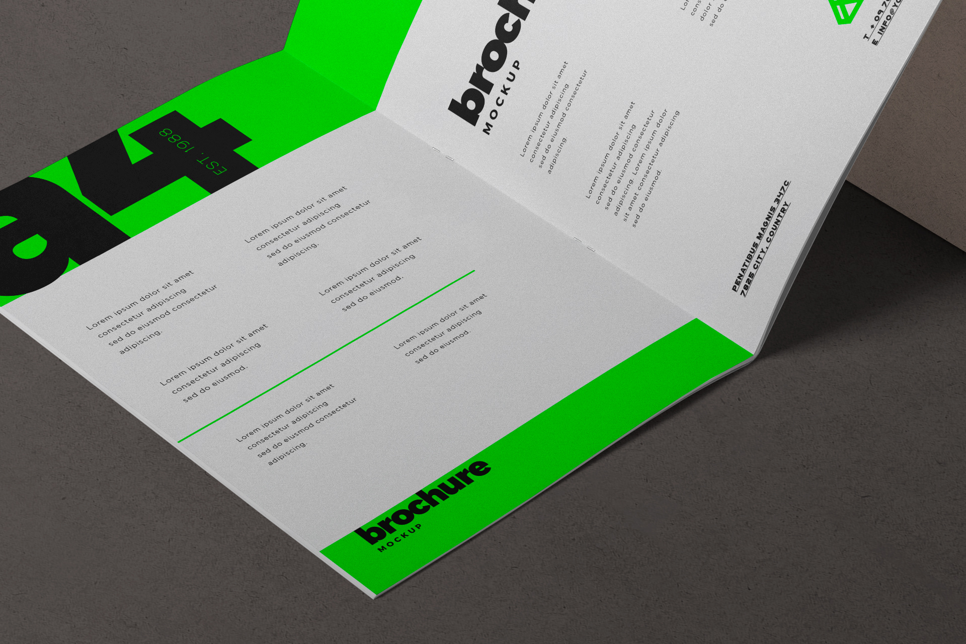 A4 bi-fold mockup