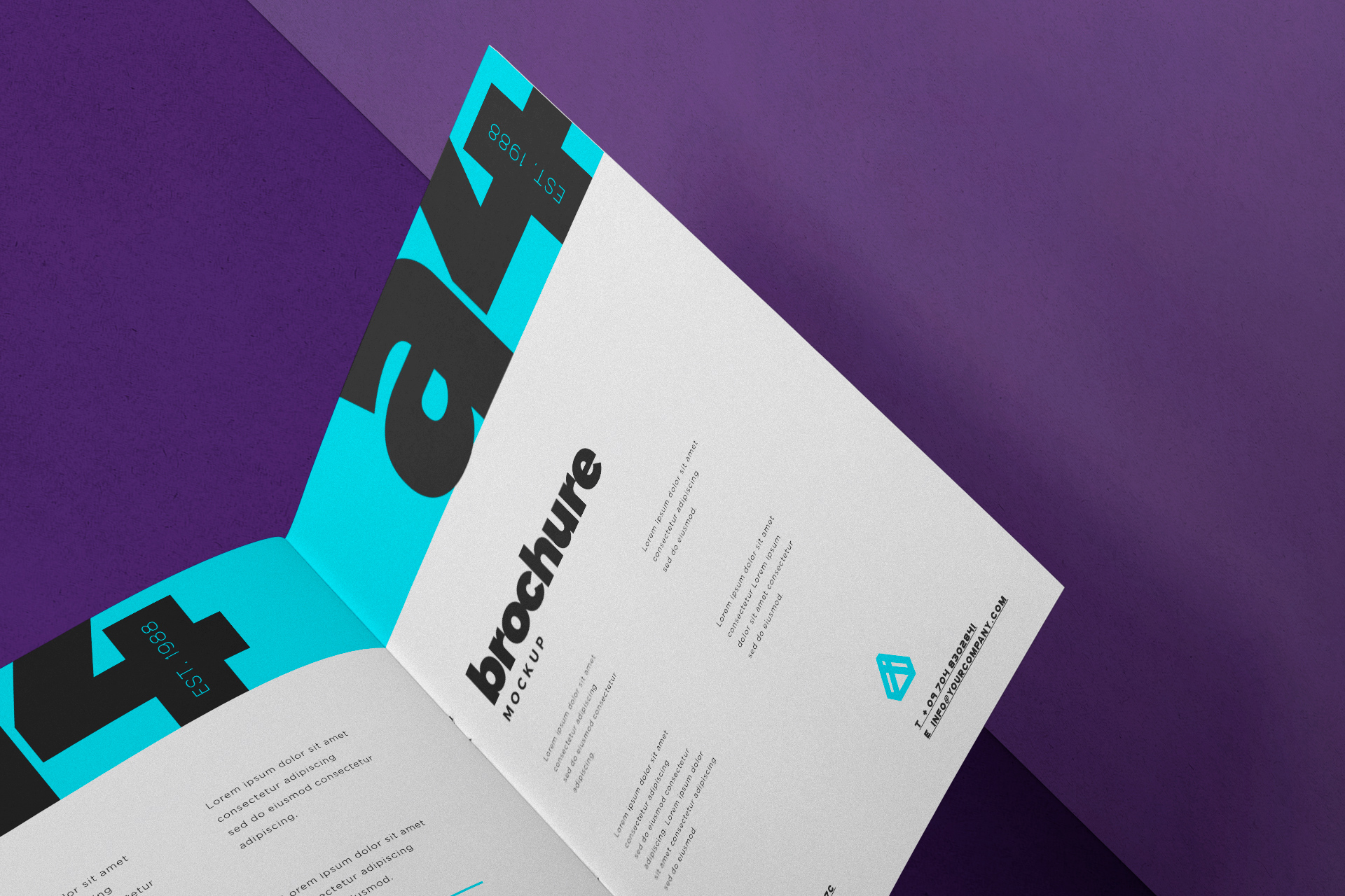 bi-fold brochure PSD
