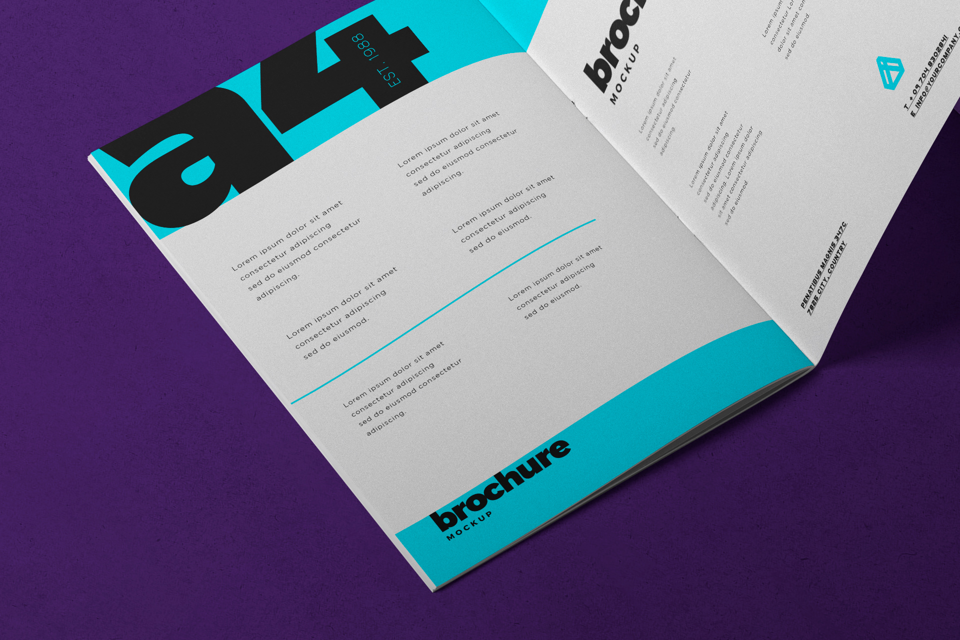 bi-fold brochure PSD