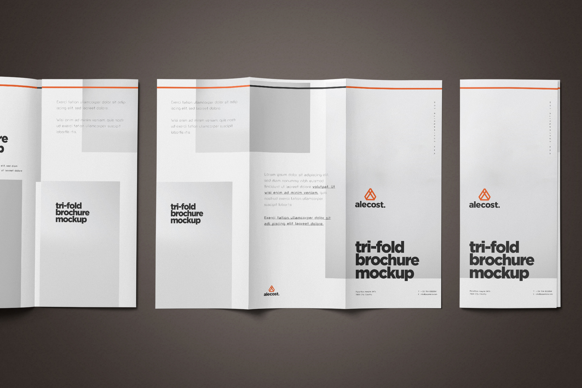Open Tri-Fold Brochure Mockup Editable Layout
