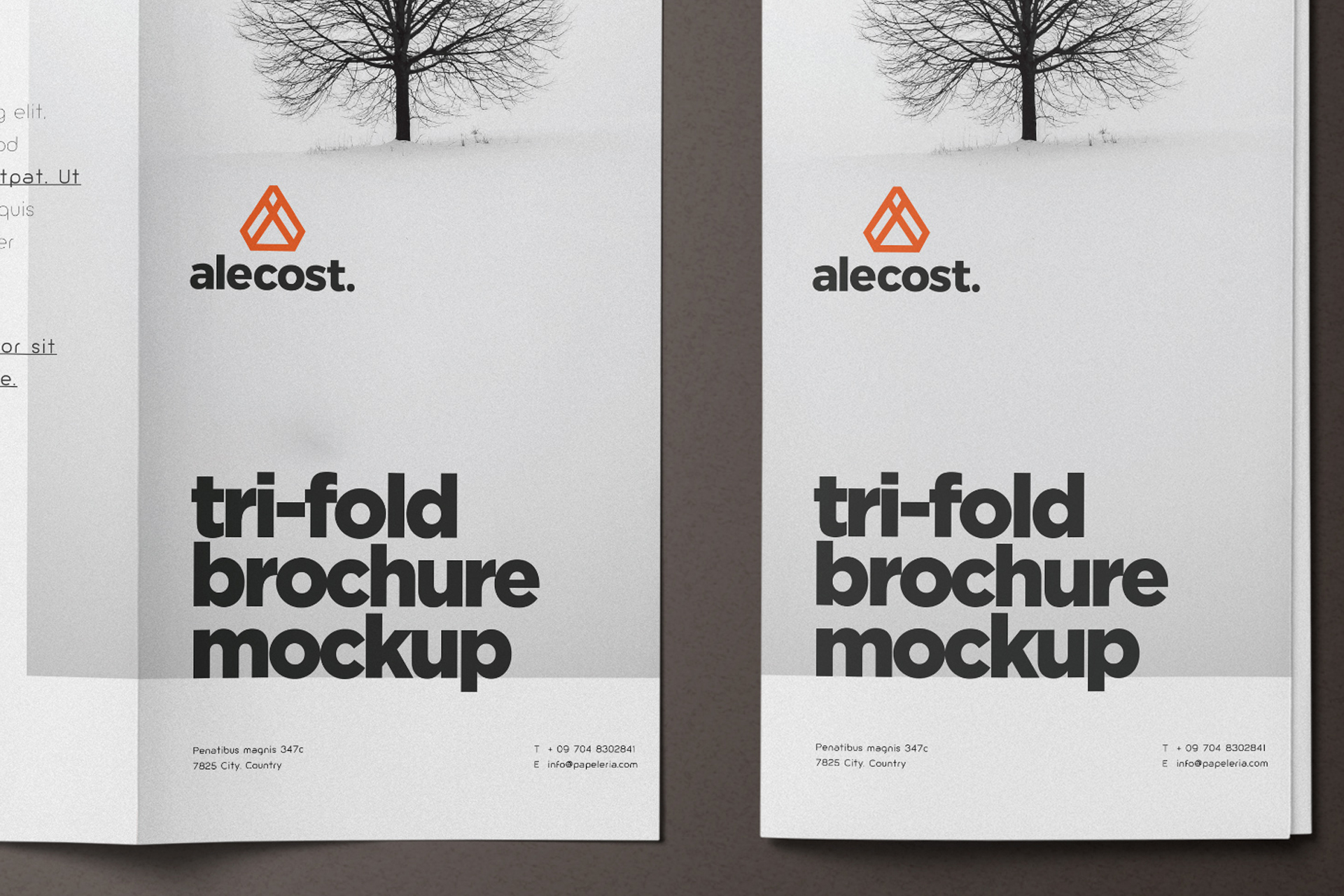 custom brochure layout