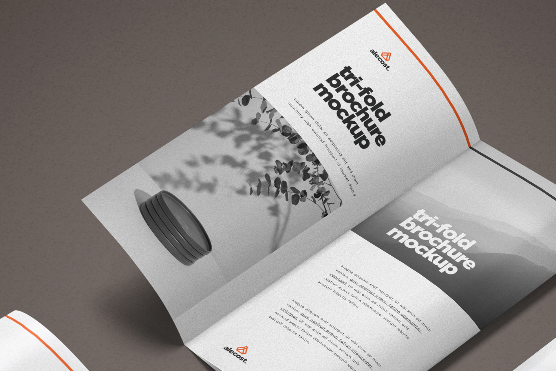 branding brochure PSD