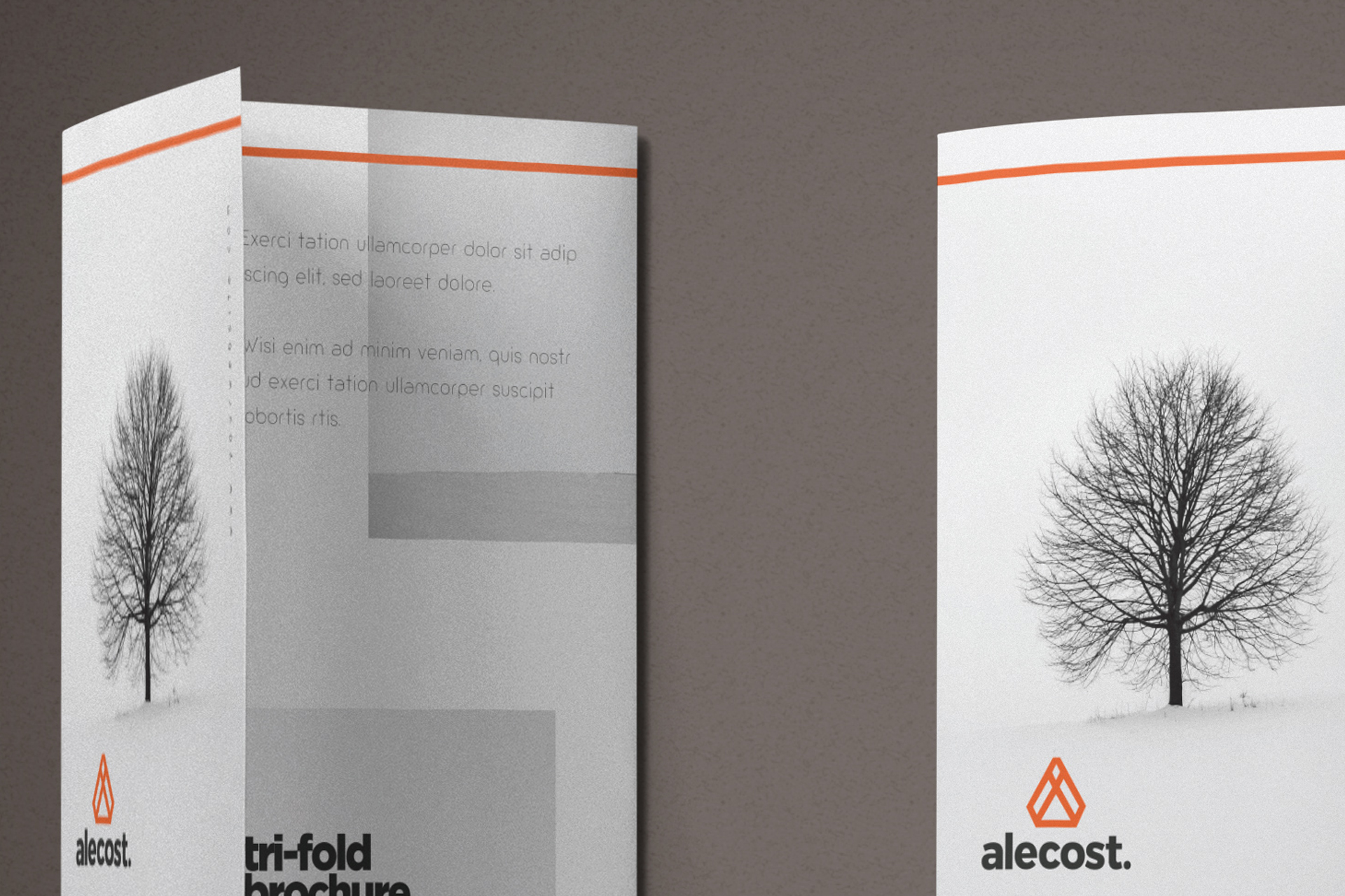 advertising brochure PSD