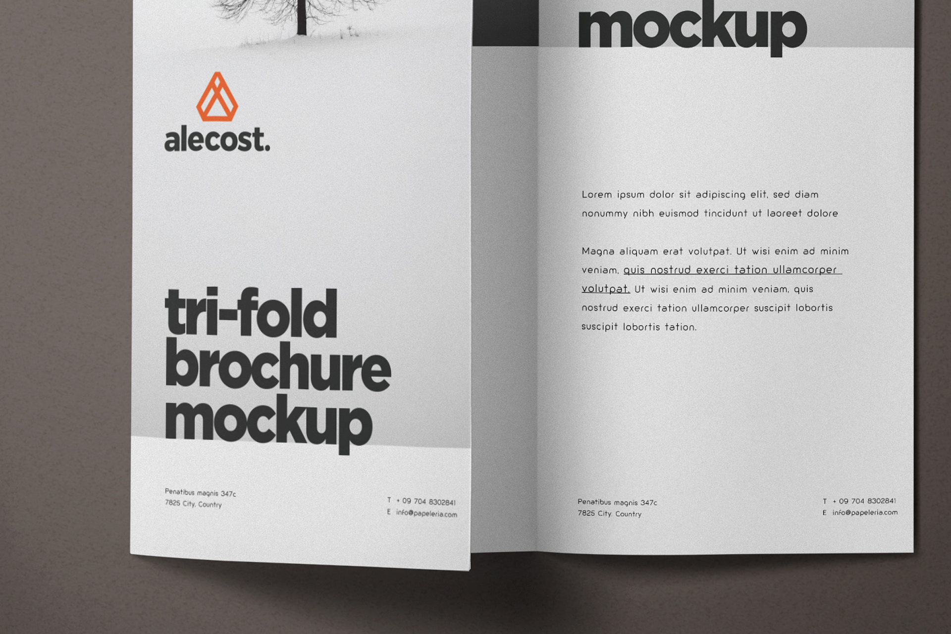 advertising brochure PSD