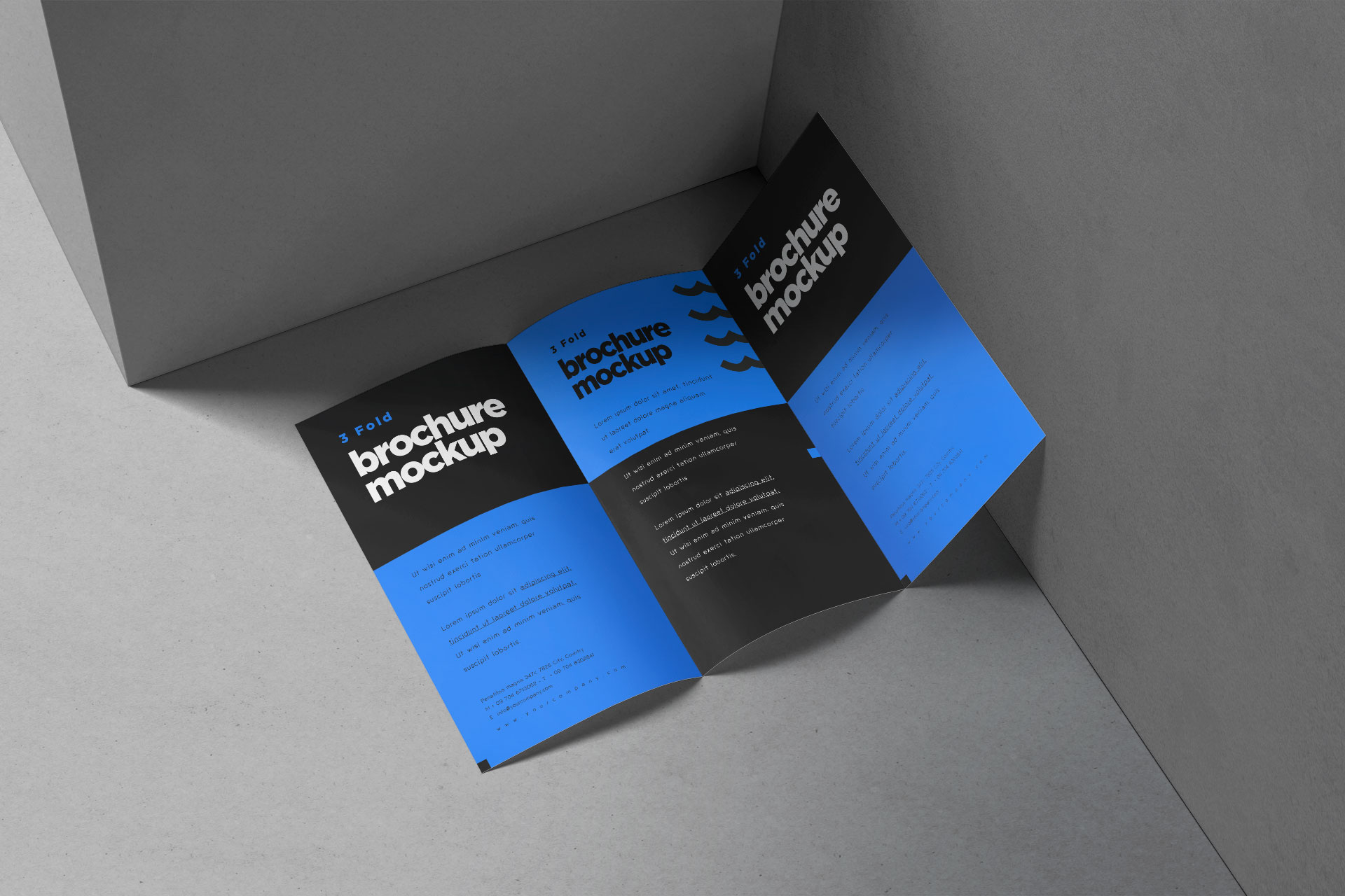 Open Tri-Fold Brochure Mockup High-Resolution PSD