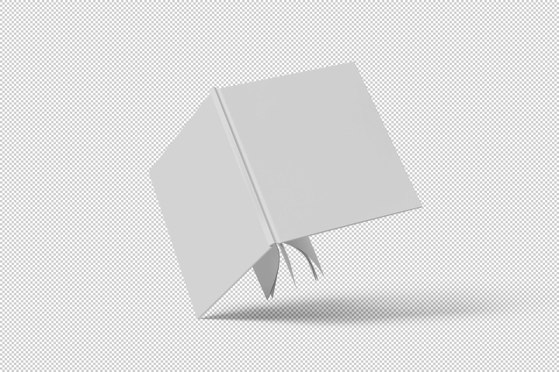 book mock-up