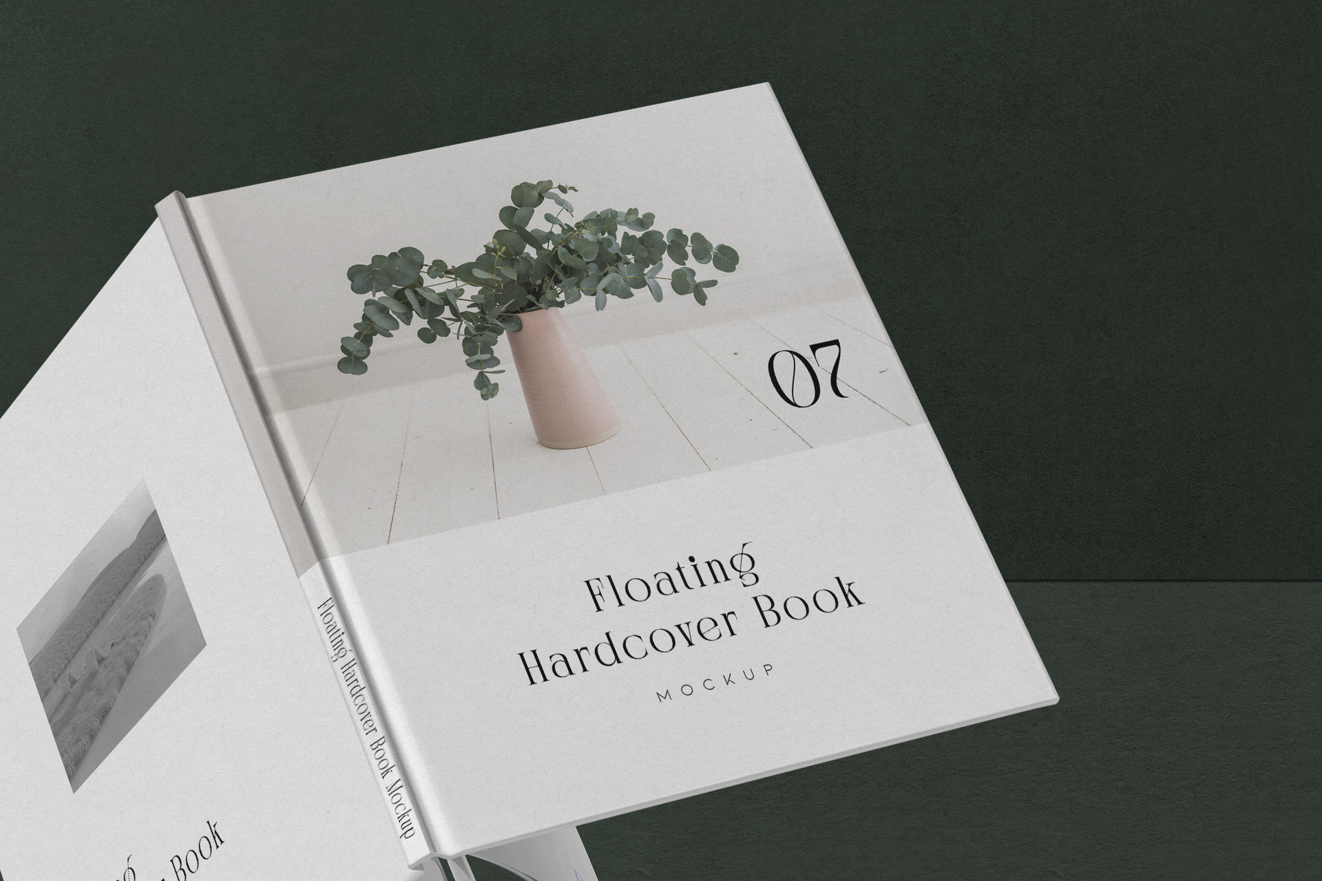book mock-up