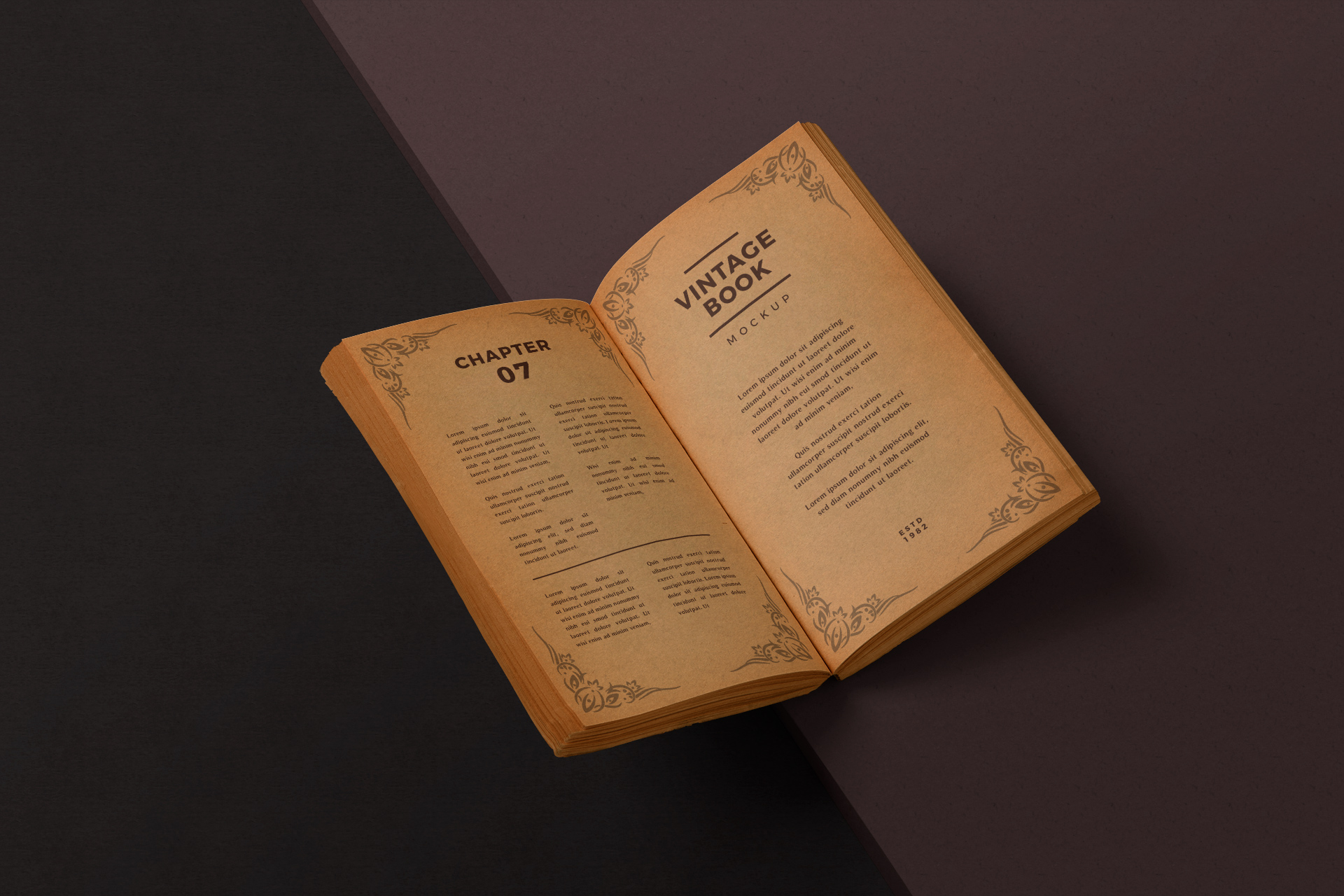 Antique Book Mockup Open Pages Display