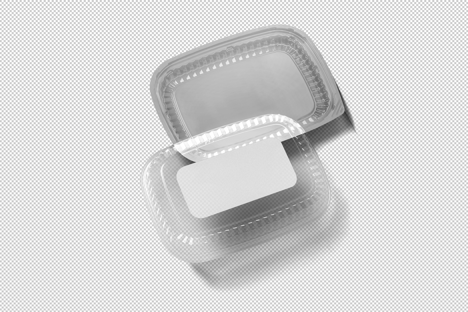 disposable food tray mockup