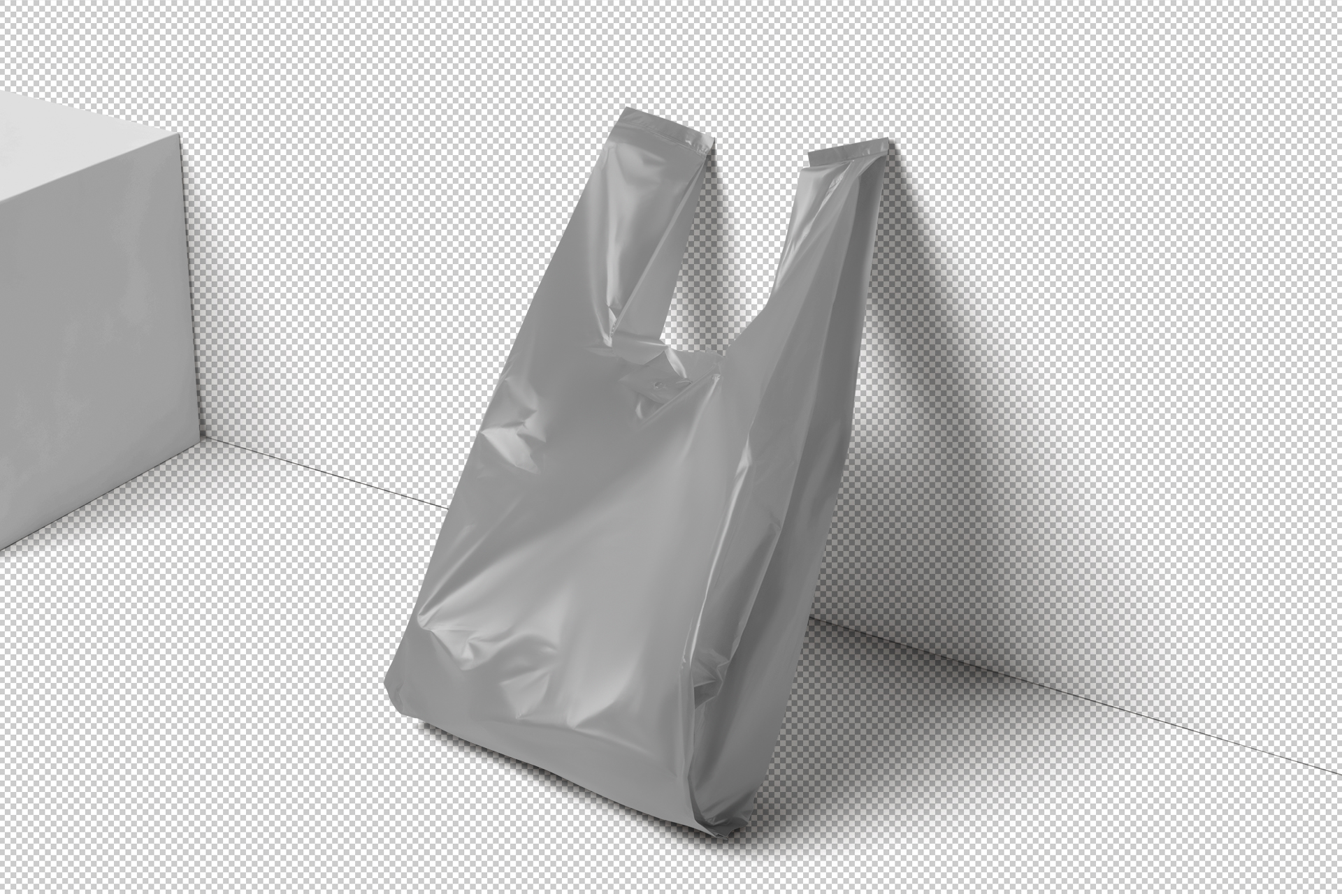 bag mock-up