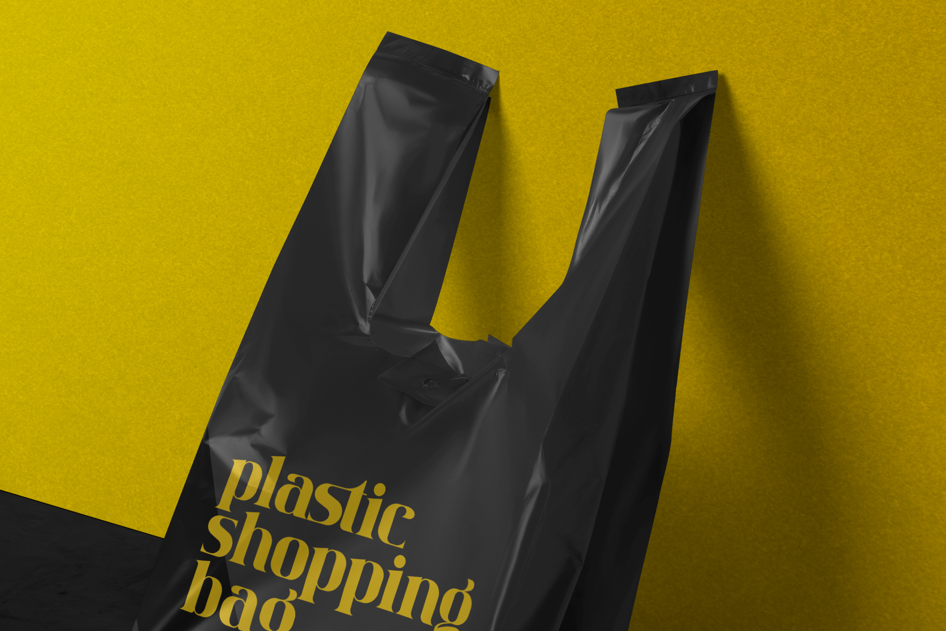 bag mock-up