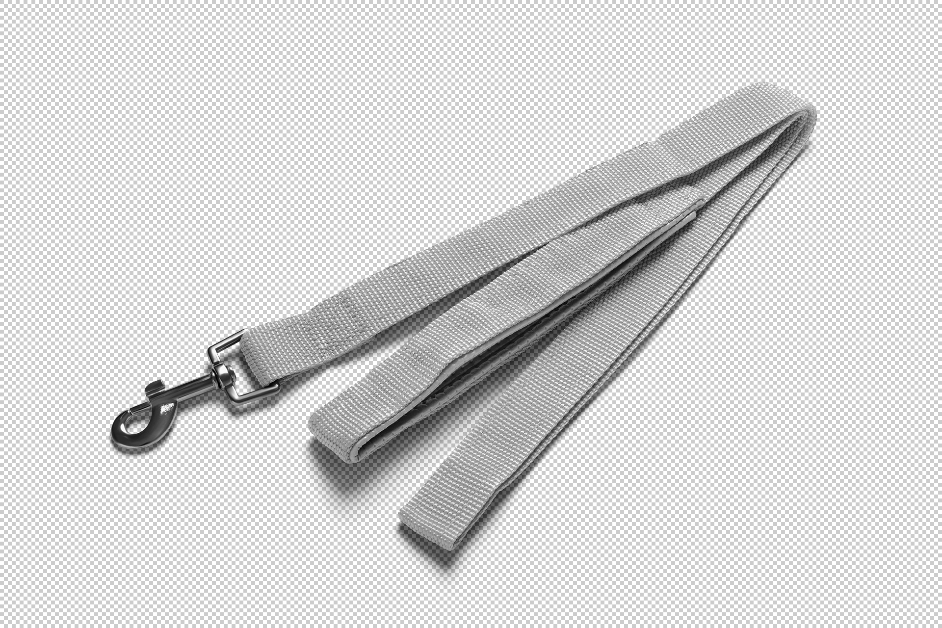 custom pet leash PSD