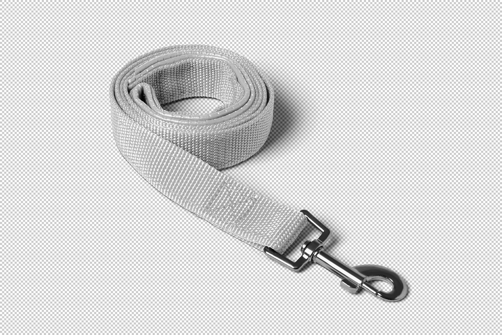 3D leash mockup