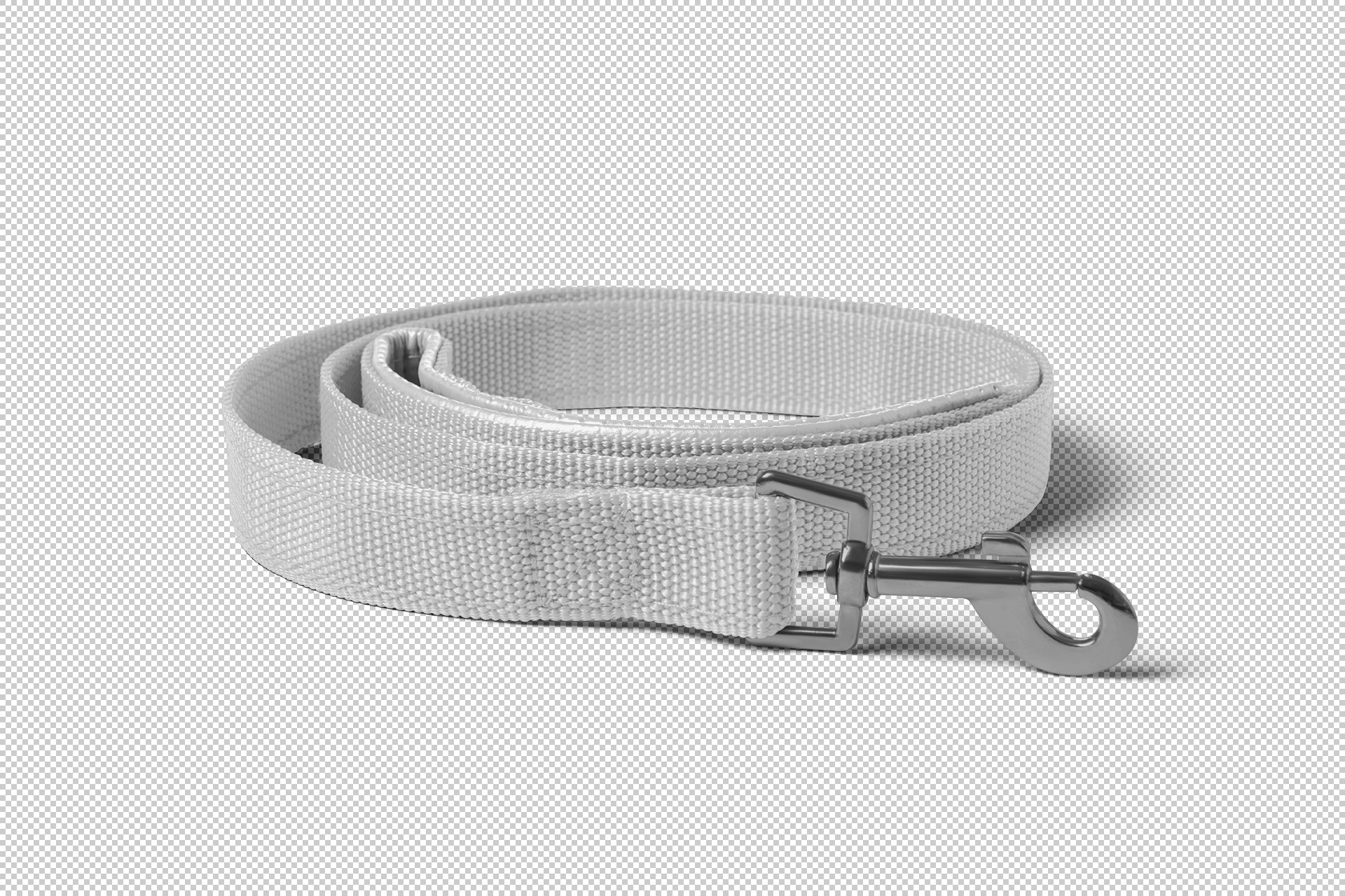 custom printed pet leash