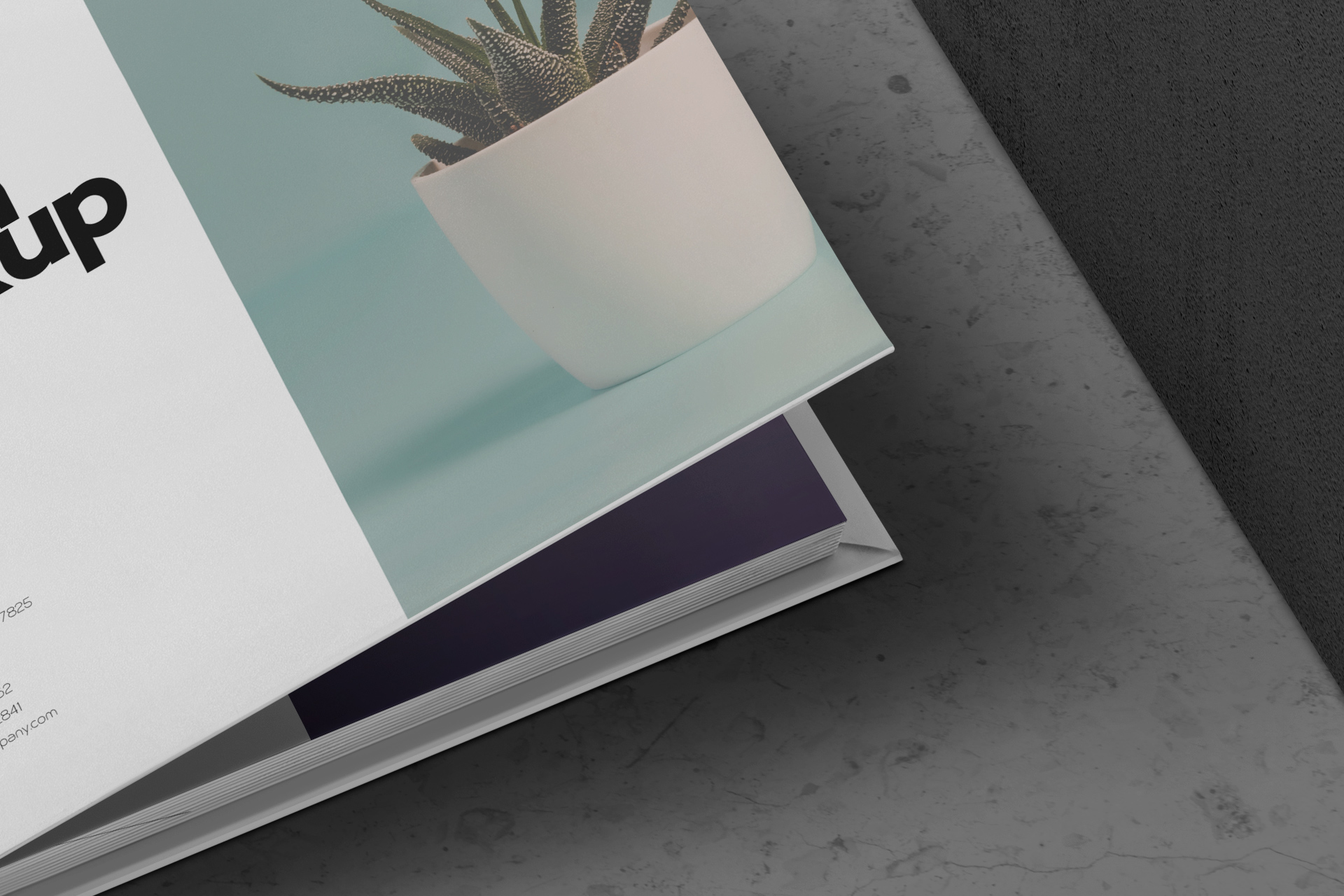 digital portfolio album