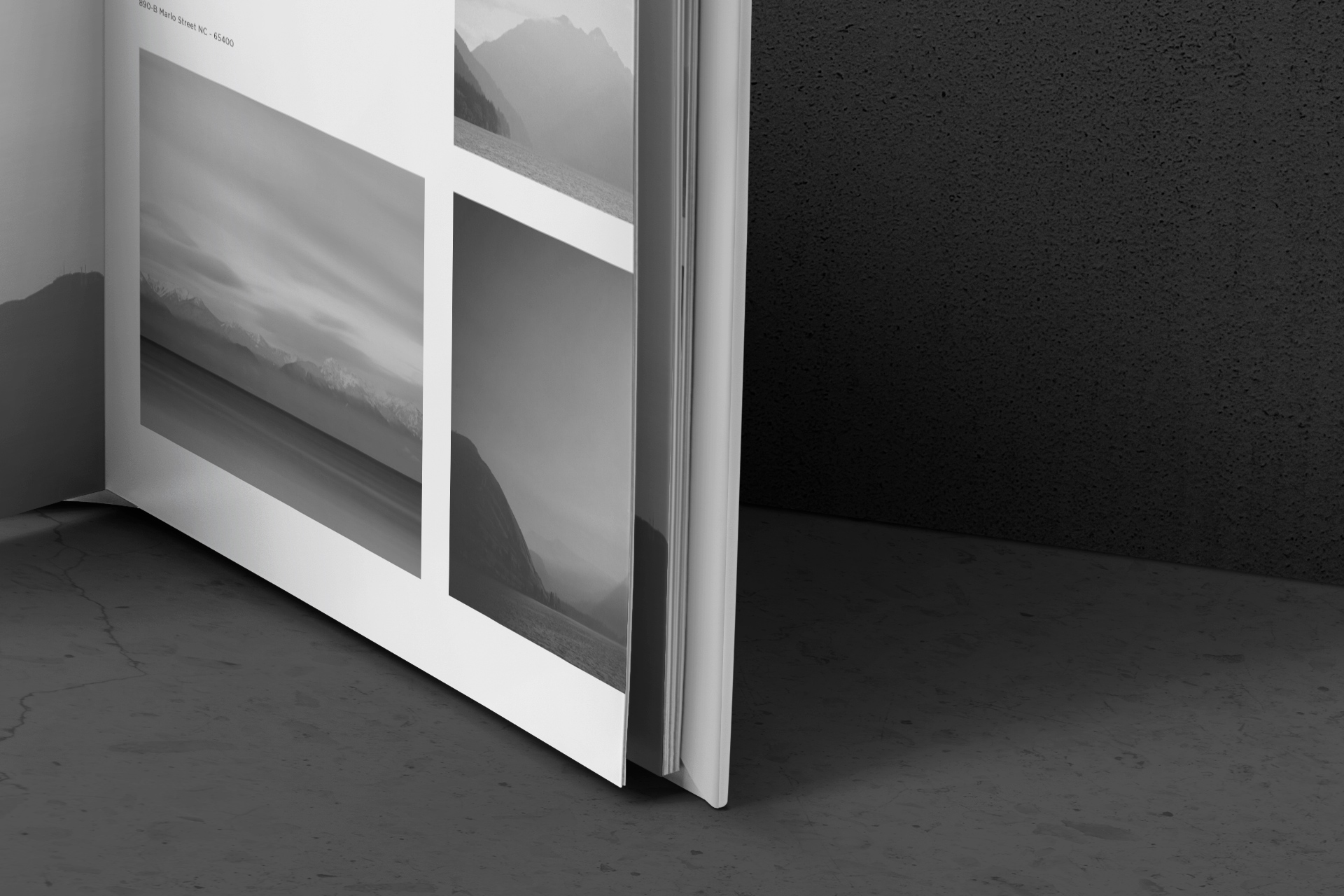 premium wedding album template