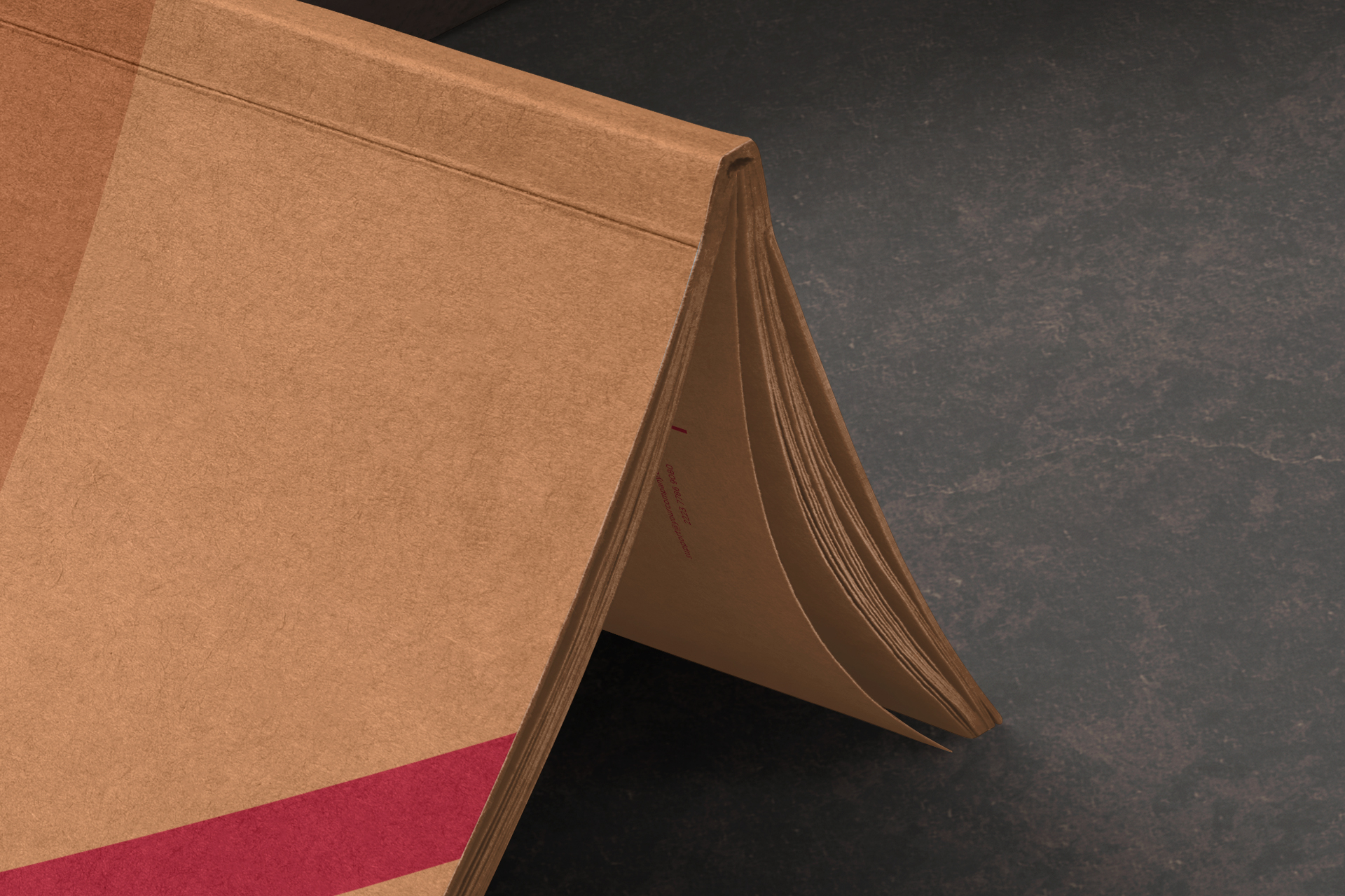 book mockup