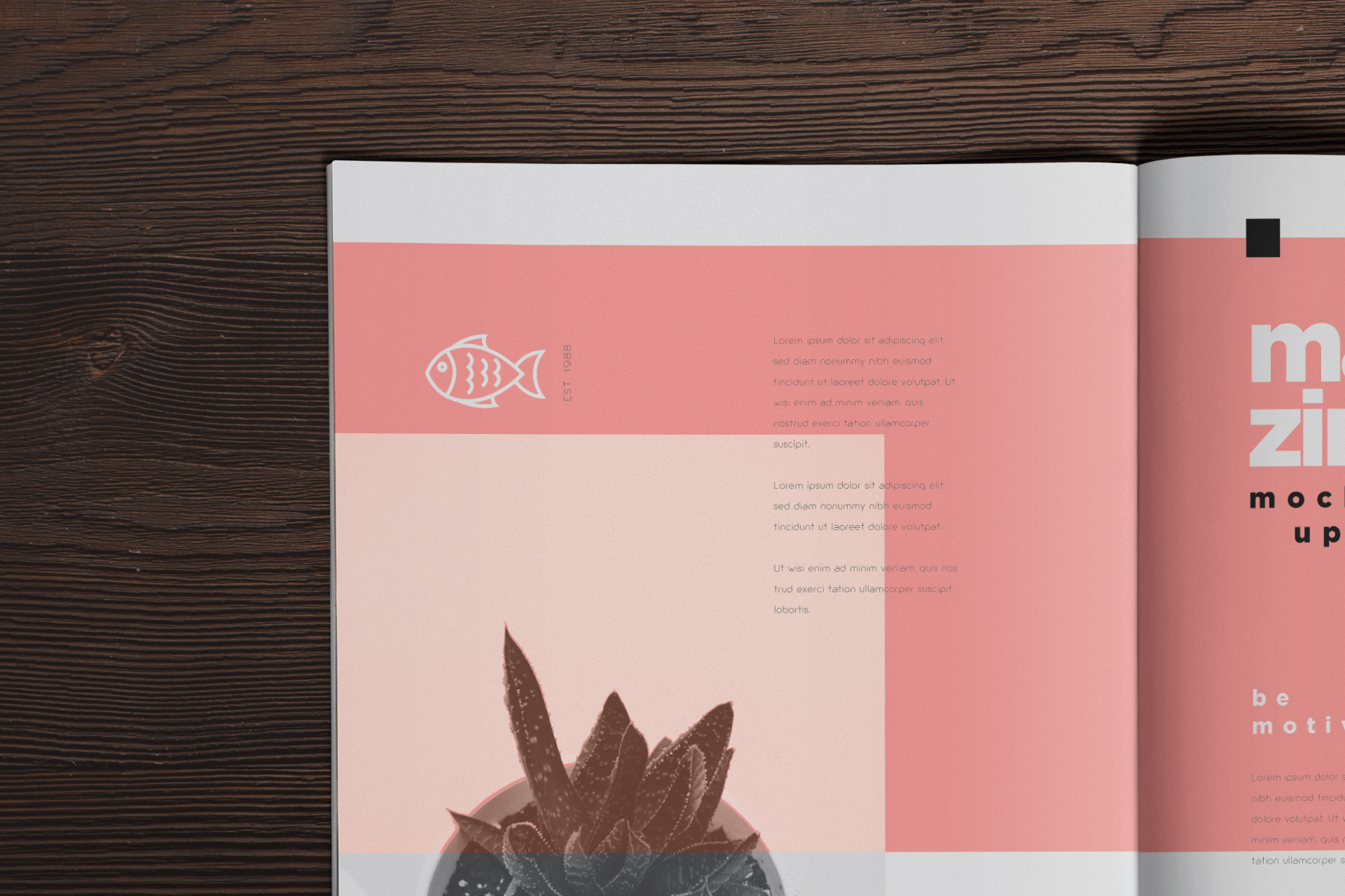 A4 magazine