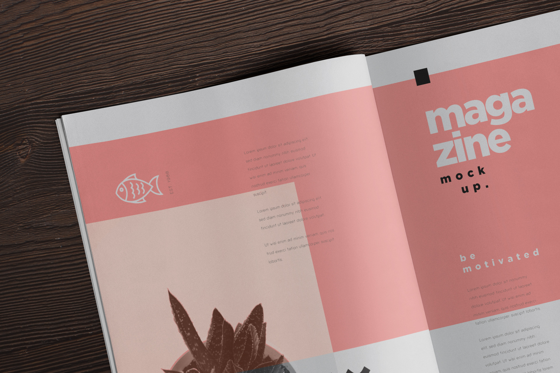 A4 magazine