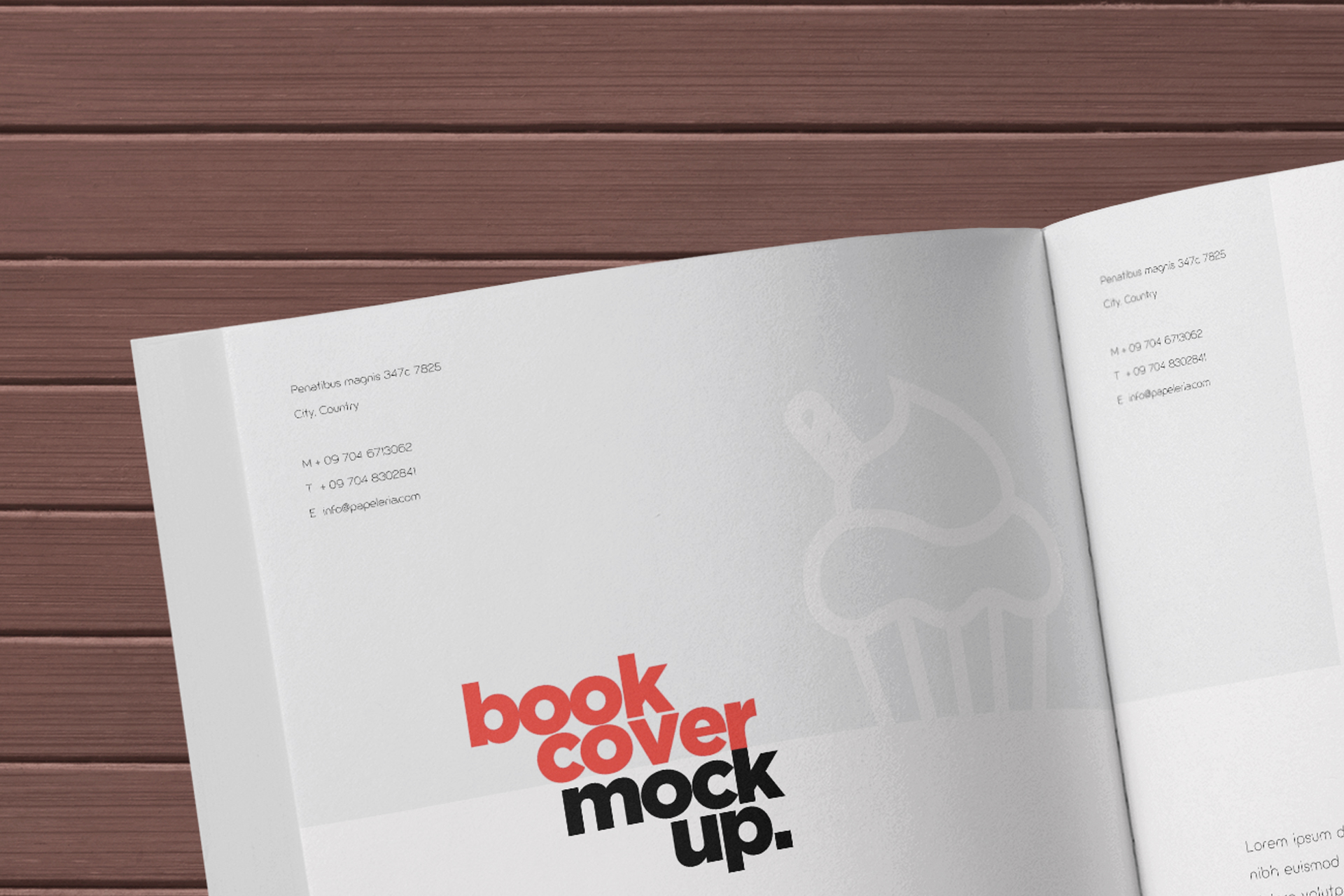 book mock-up