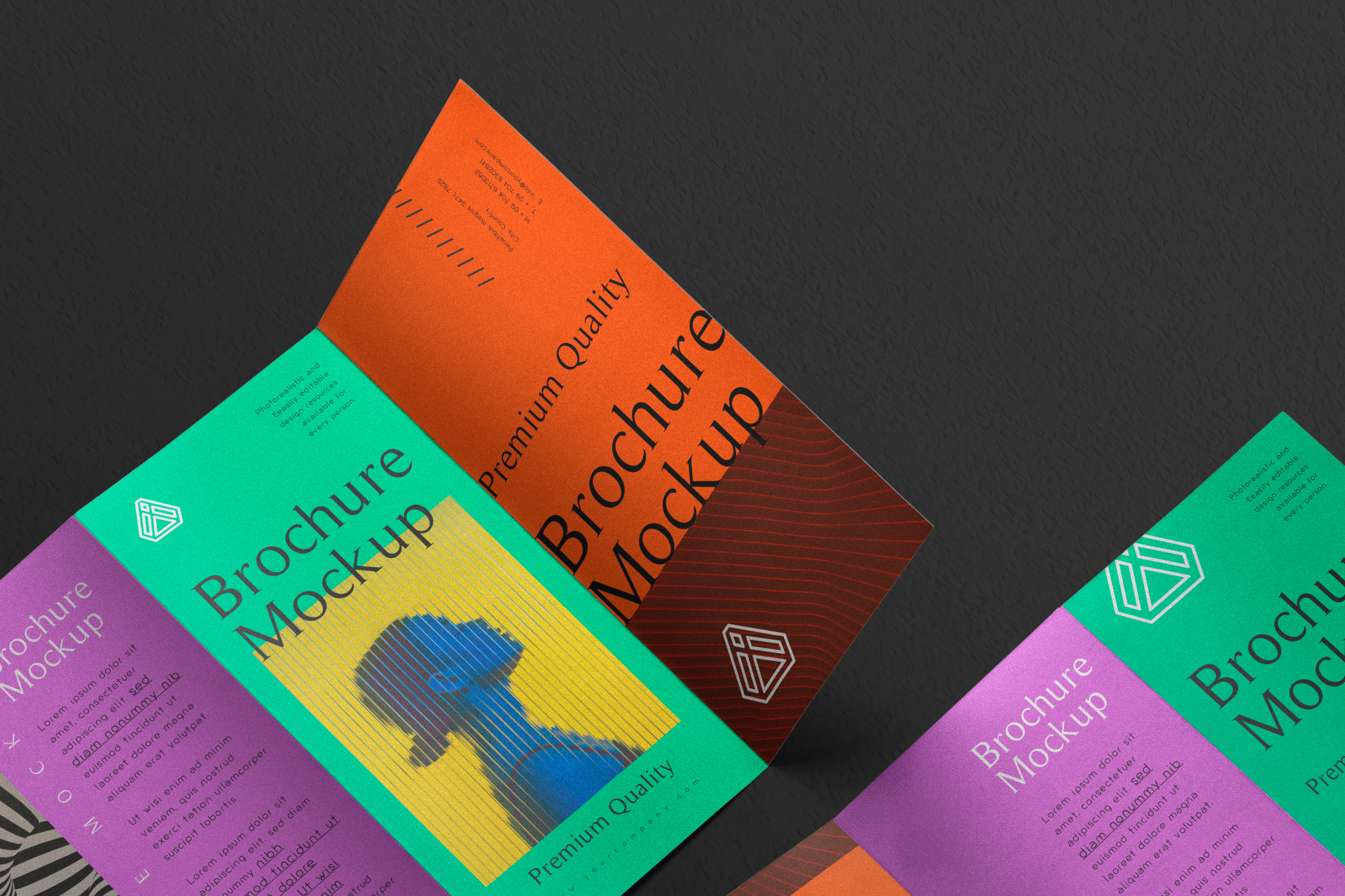 advertising brochure