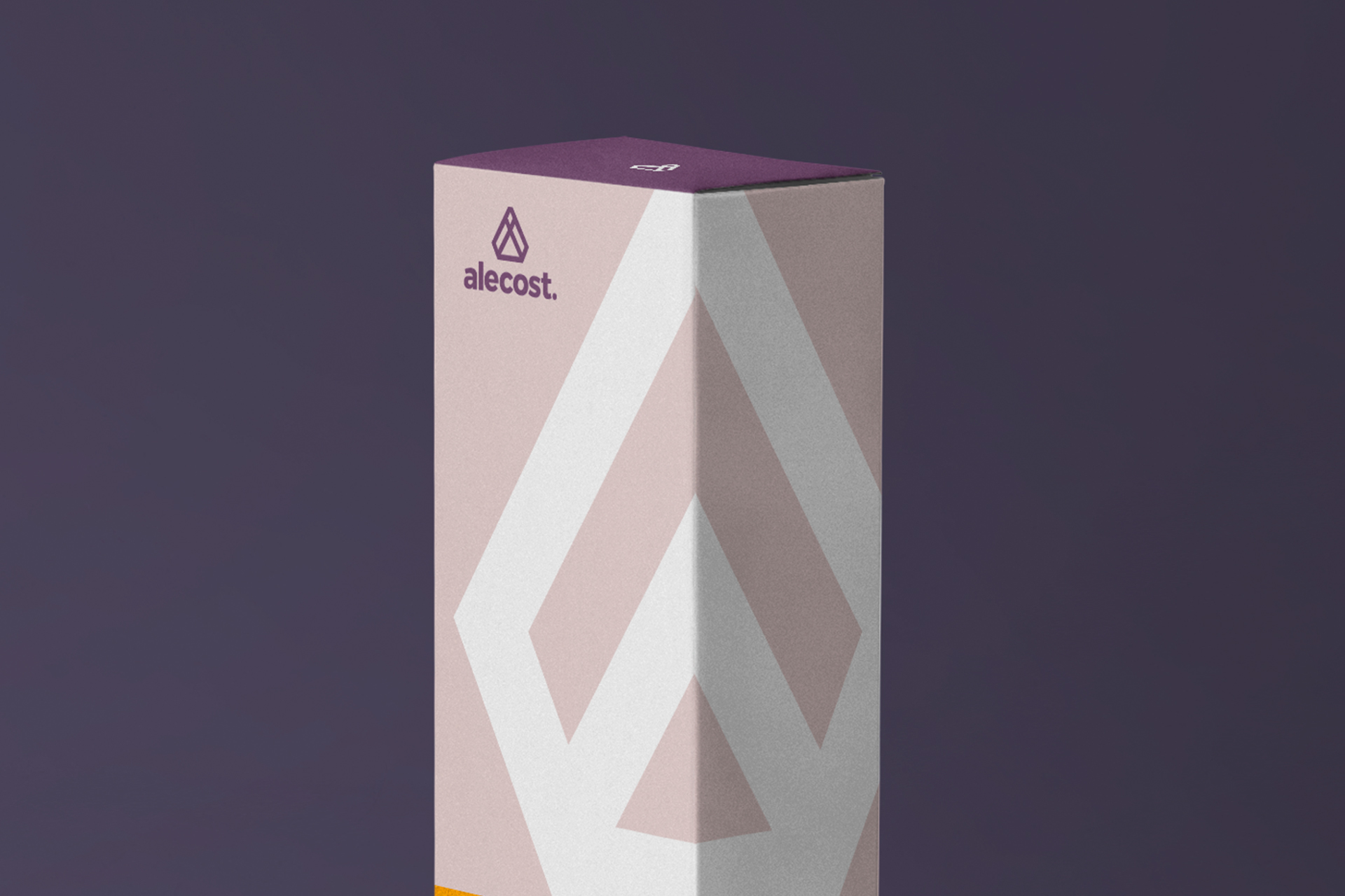 box mock up