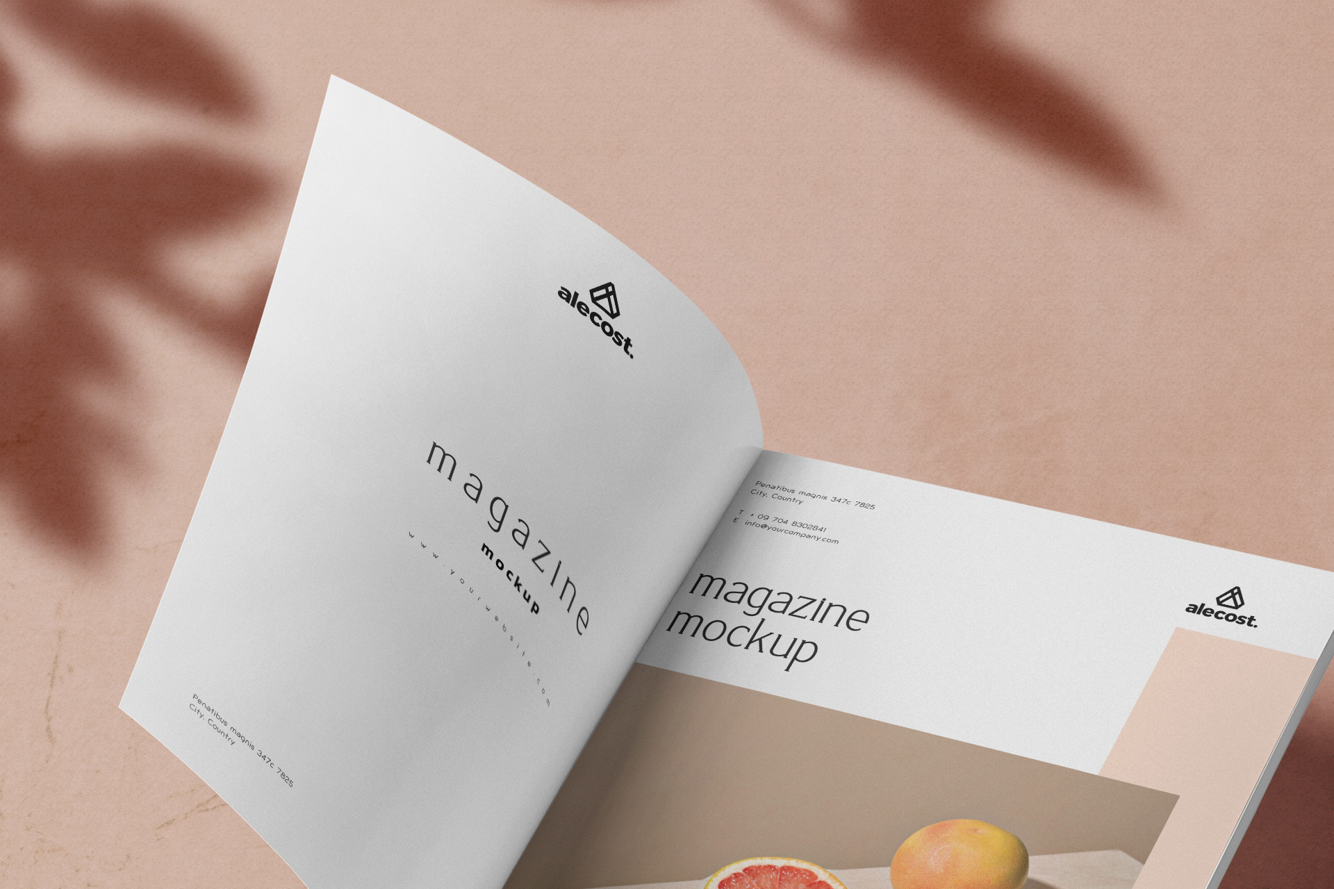 brochure layout mockup