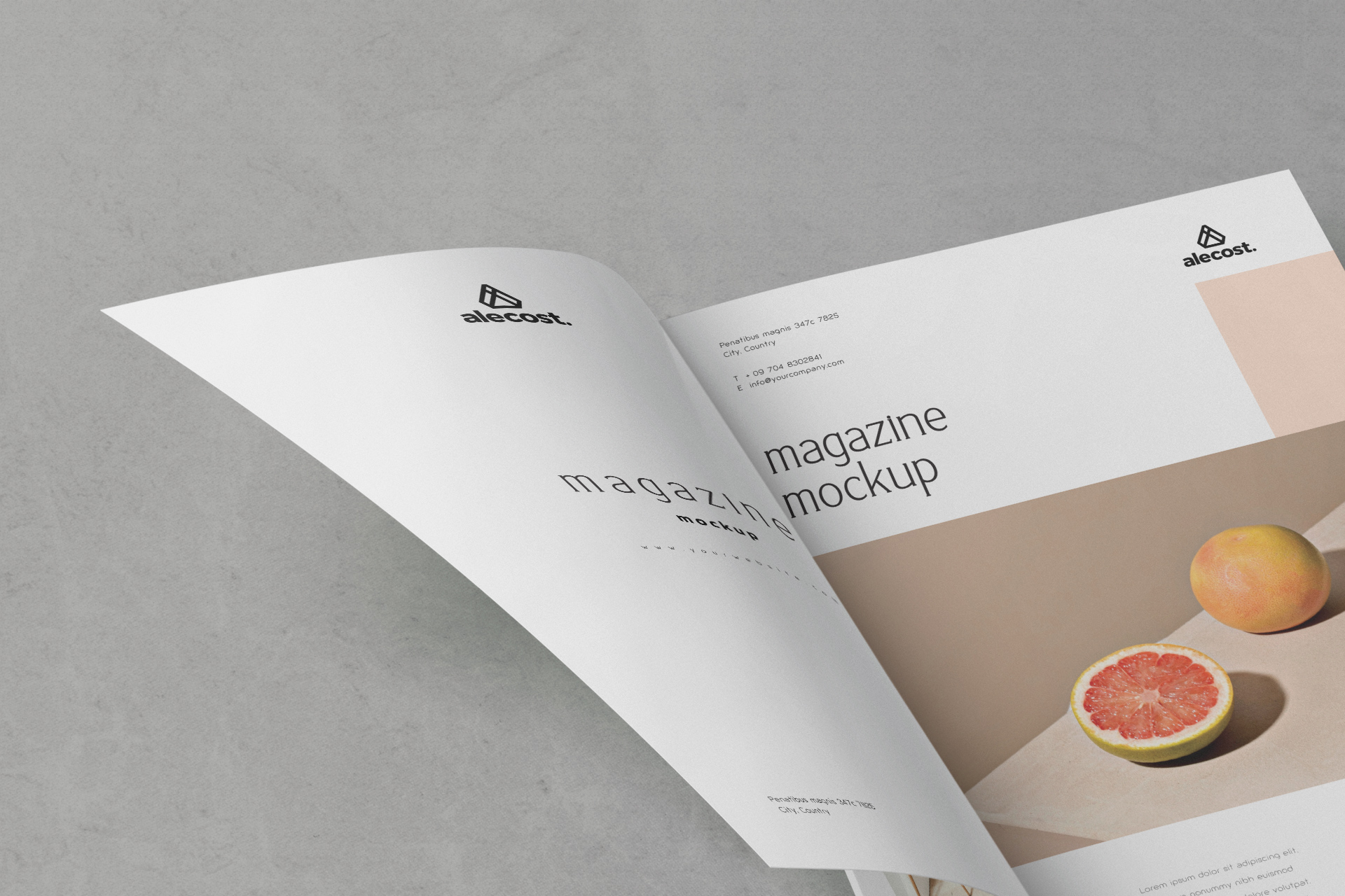 elegant magazine presentation