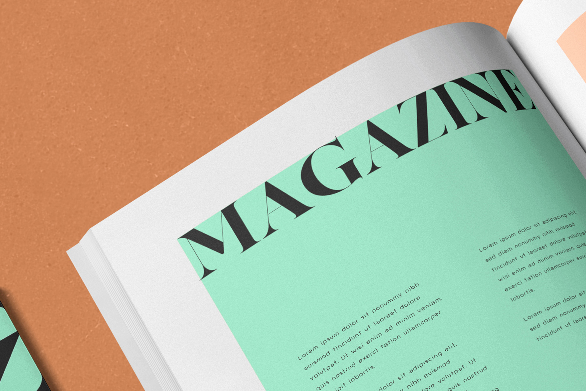 branding print mockup