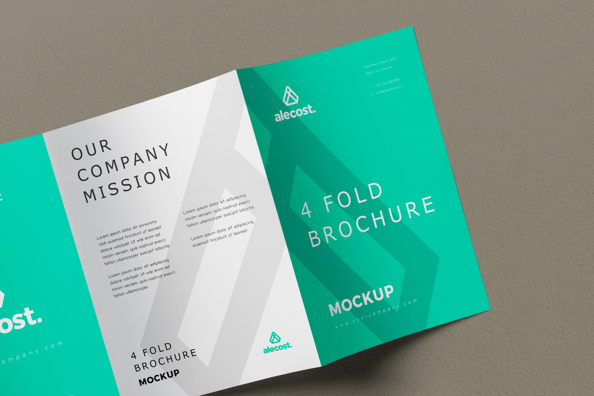 brochure layout mockup