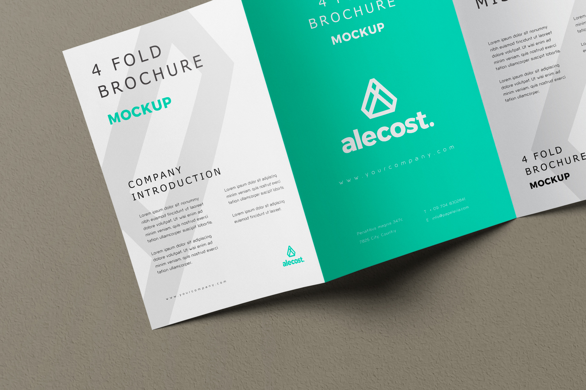 brochure layout mockup