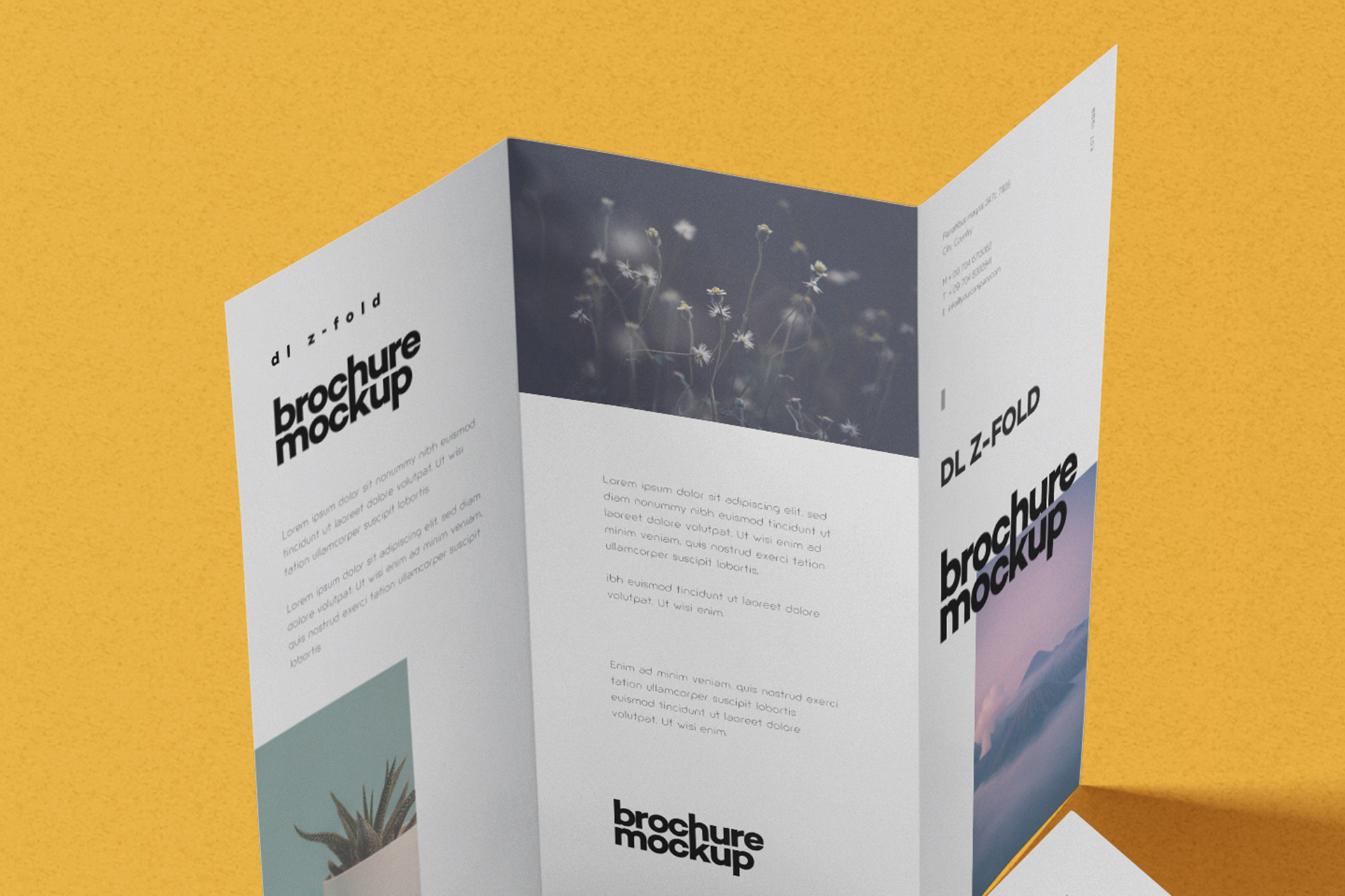 branding brochure mockup