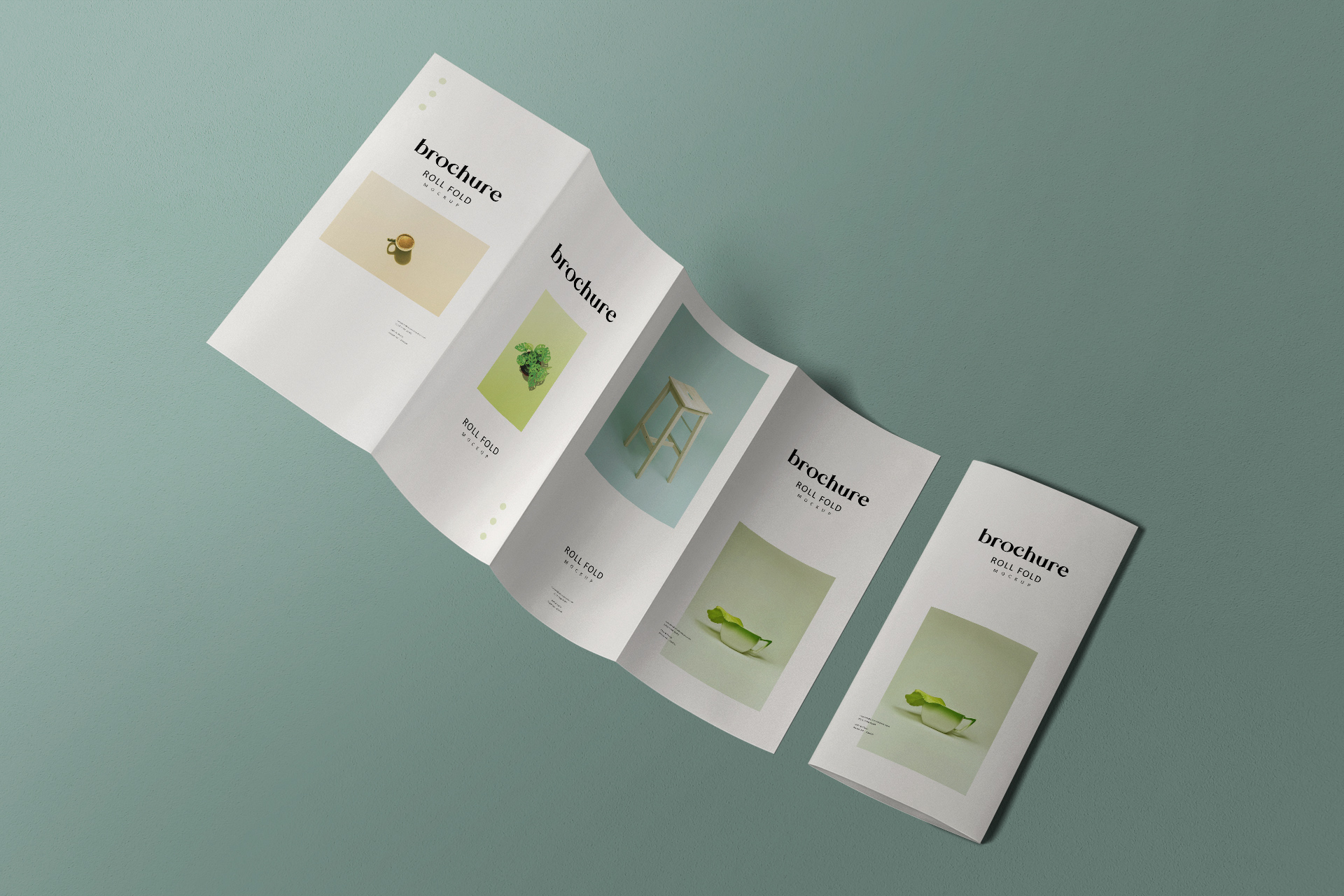 Roll Fold Brochure Mockup with Multiple Layouts