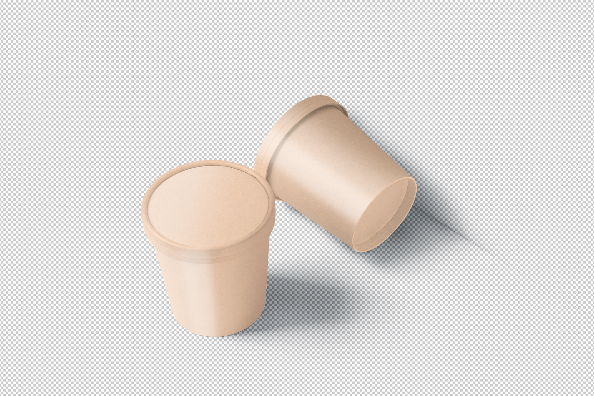 biodegradable food box